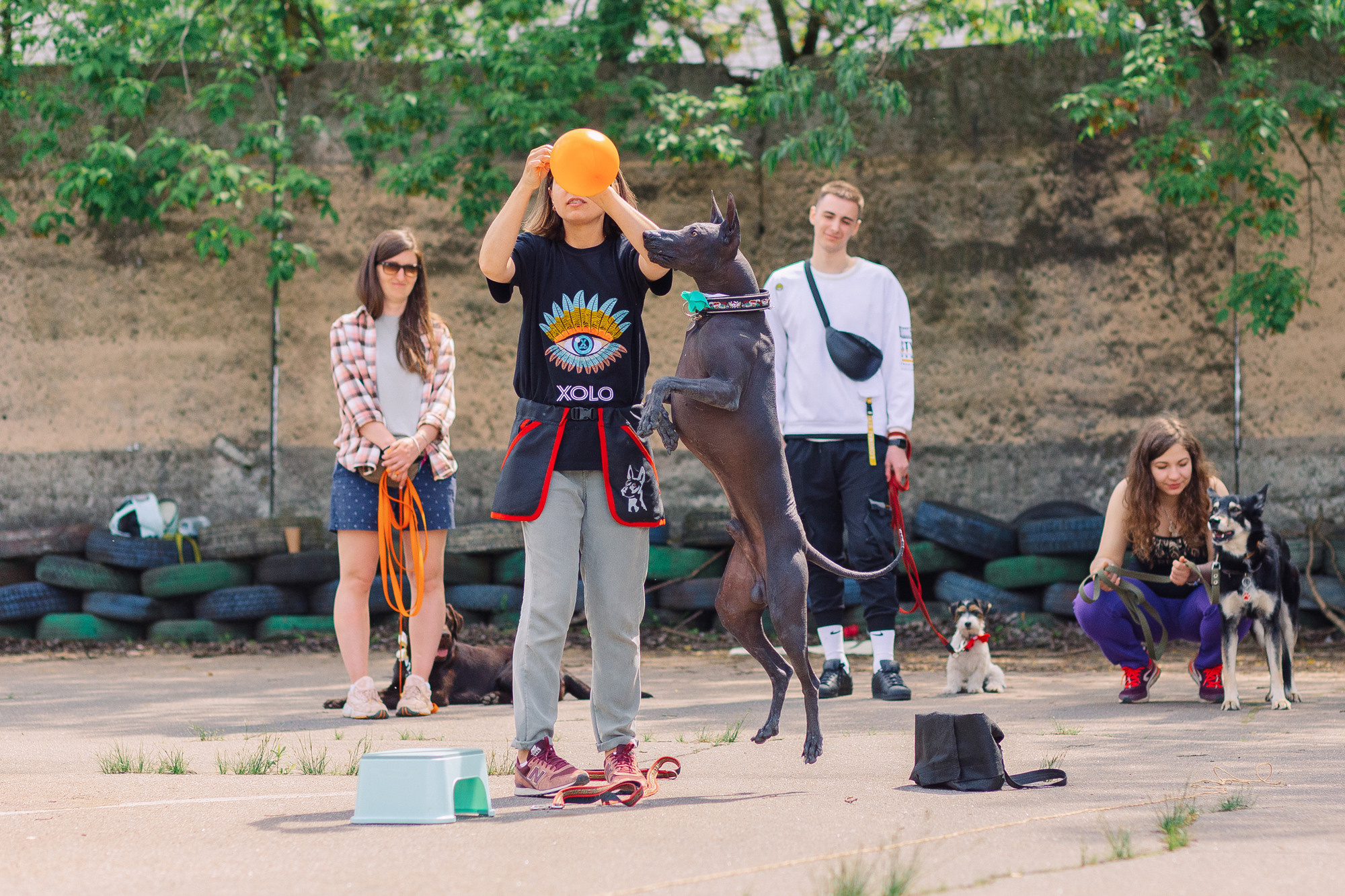 Дог-туса. Фотограф-анималист Елена Радченко, Москва