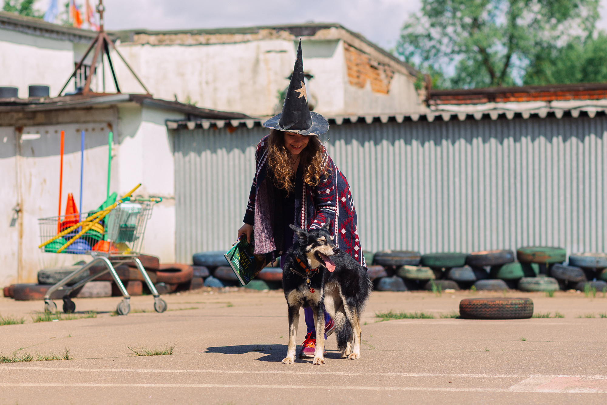 Дог-туса. Фотограф-анималист Елена Радченко, Москва