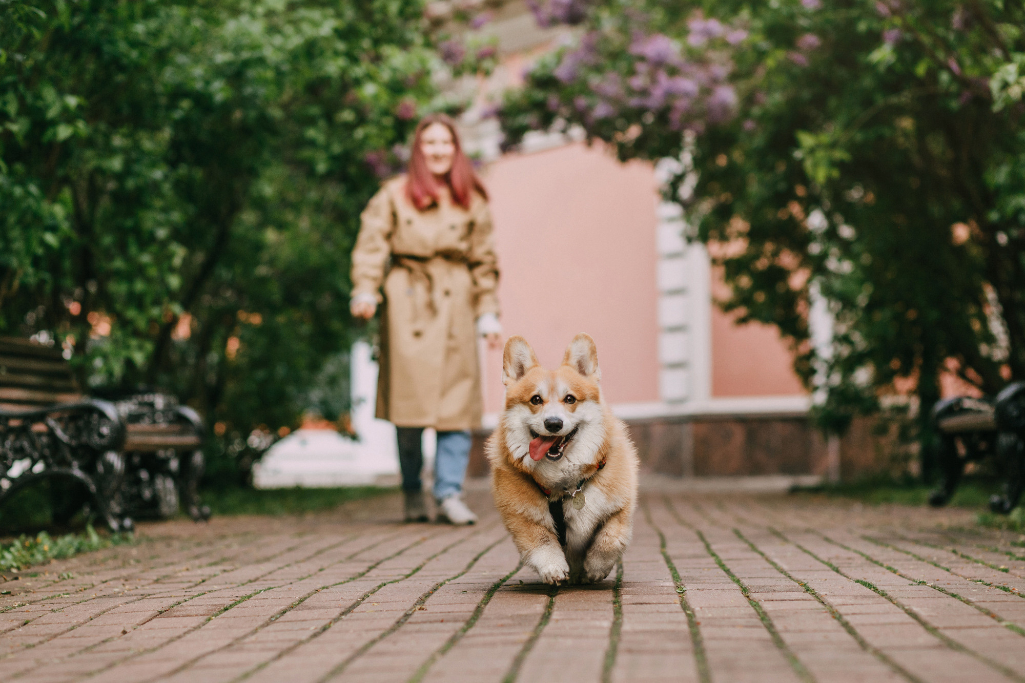 Анна и Филипп. Фотограф-анималист Елена Радченко, Москва
