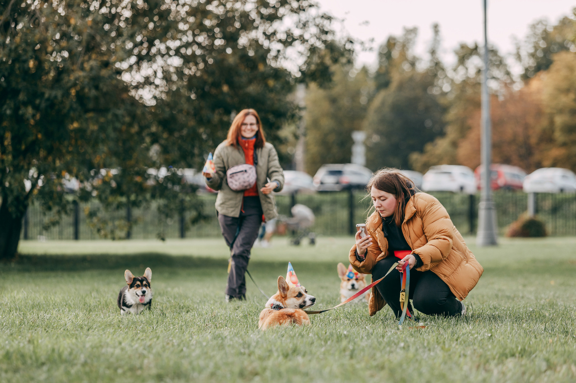 День рождения Габи. Фотограф-анималист Елена Радченко, Москва