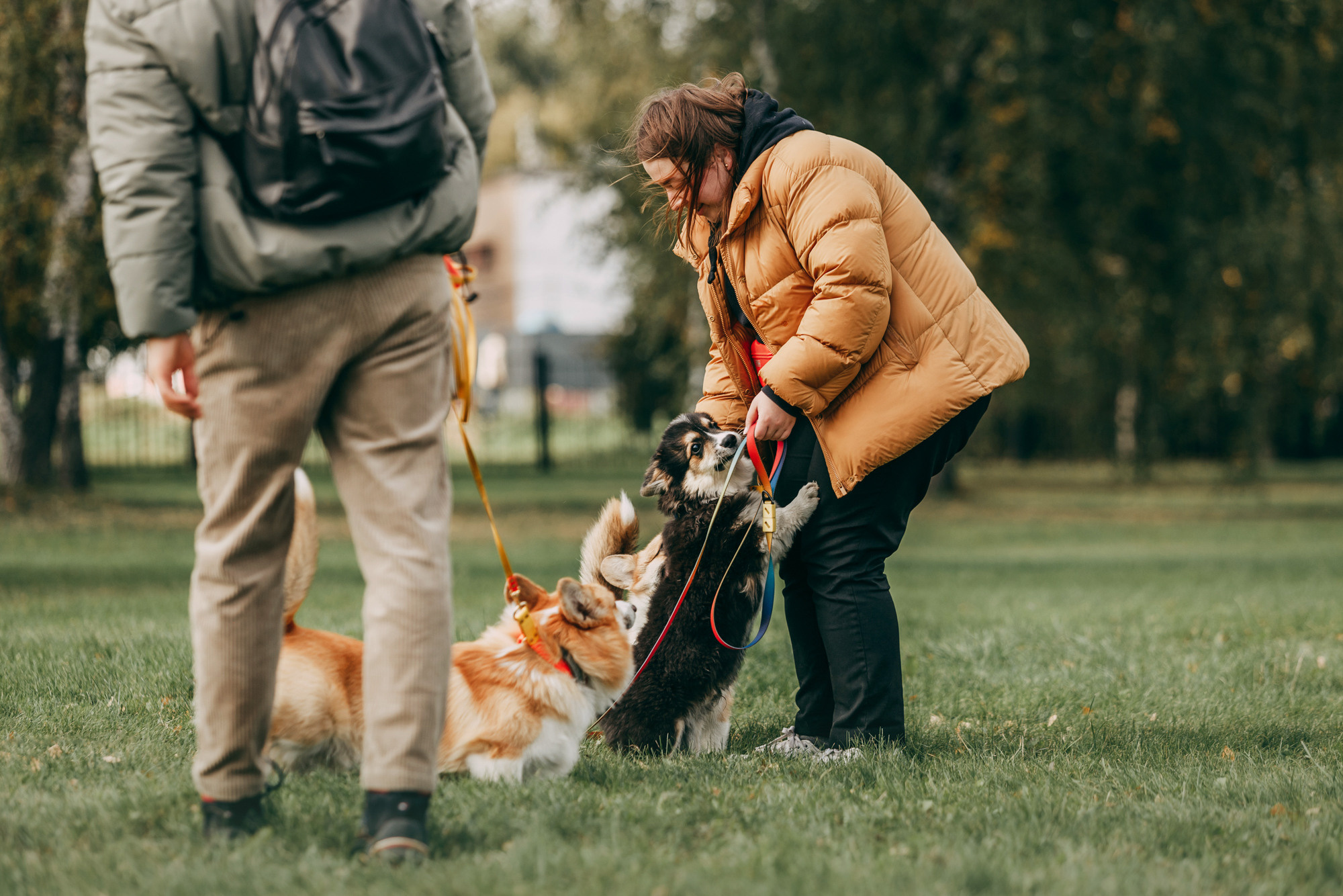 День рождения Габи. Фотограф-анималист Елена Радченко, Москва
