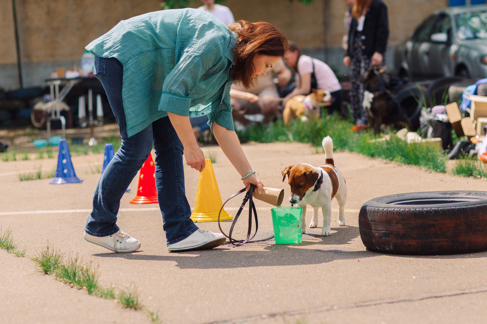 Дог-туса. Фотограф-анималист Елена Радченко, Москва