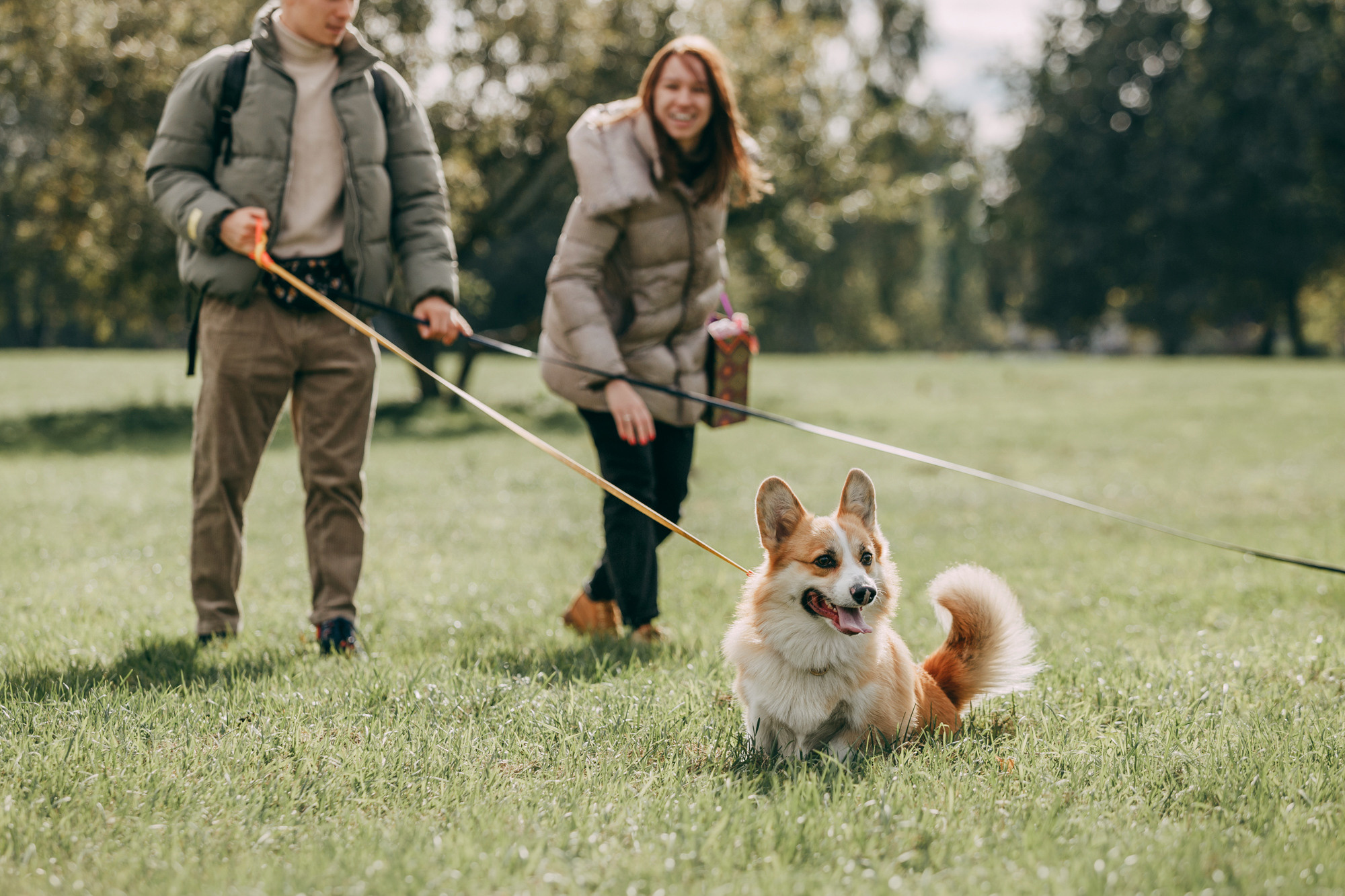 День рождения Габи. Фотограф-анималист Елена Радченко, Москва