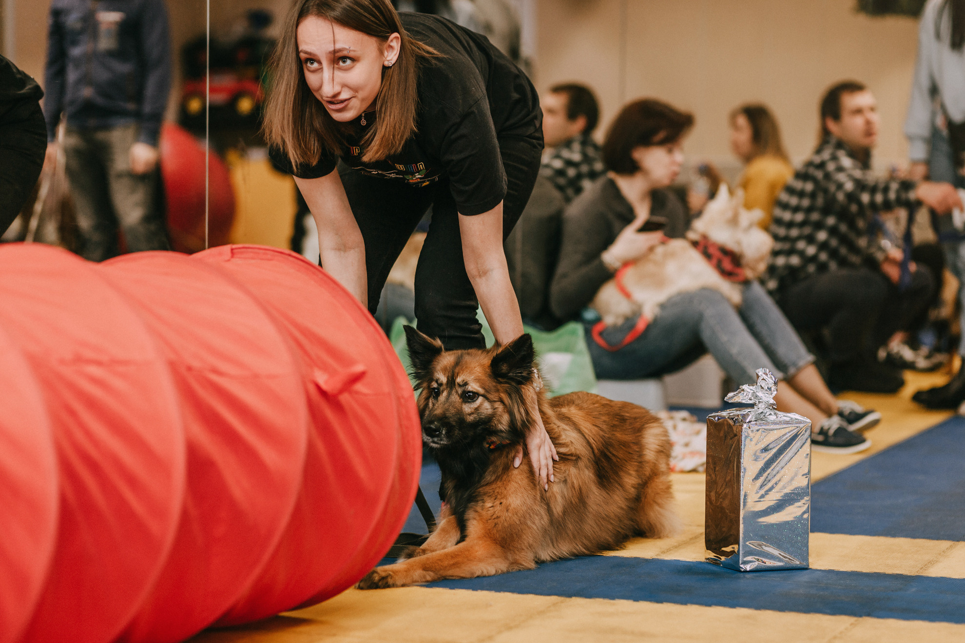 Собачий Новый год. Фотограф-анималист Елена Радченко, Москва