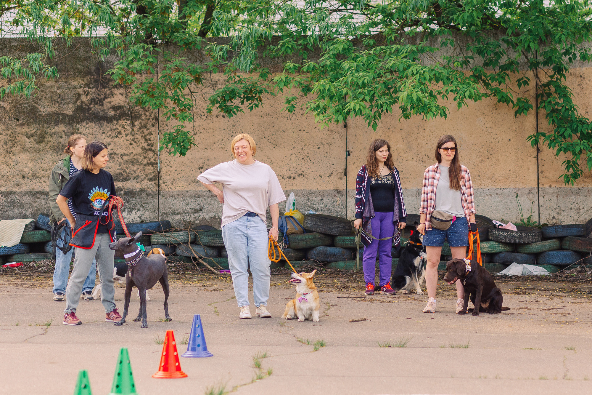 Дог-туса. Фотограф-анималист Елена Радченко, Москва