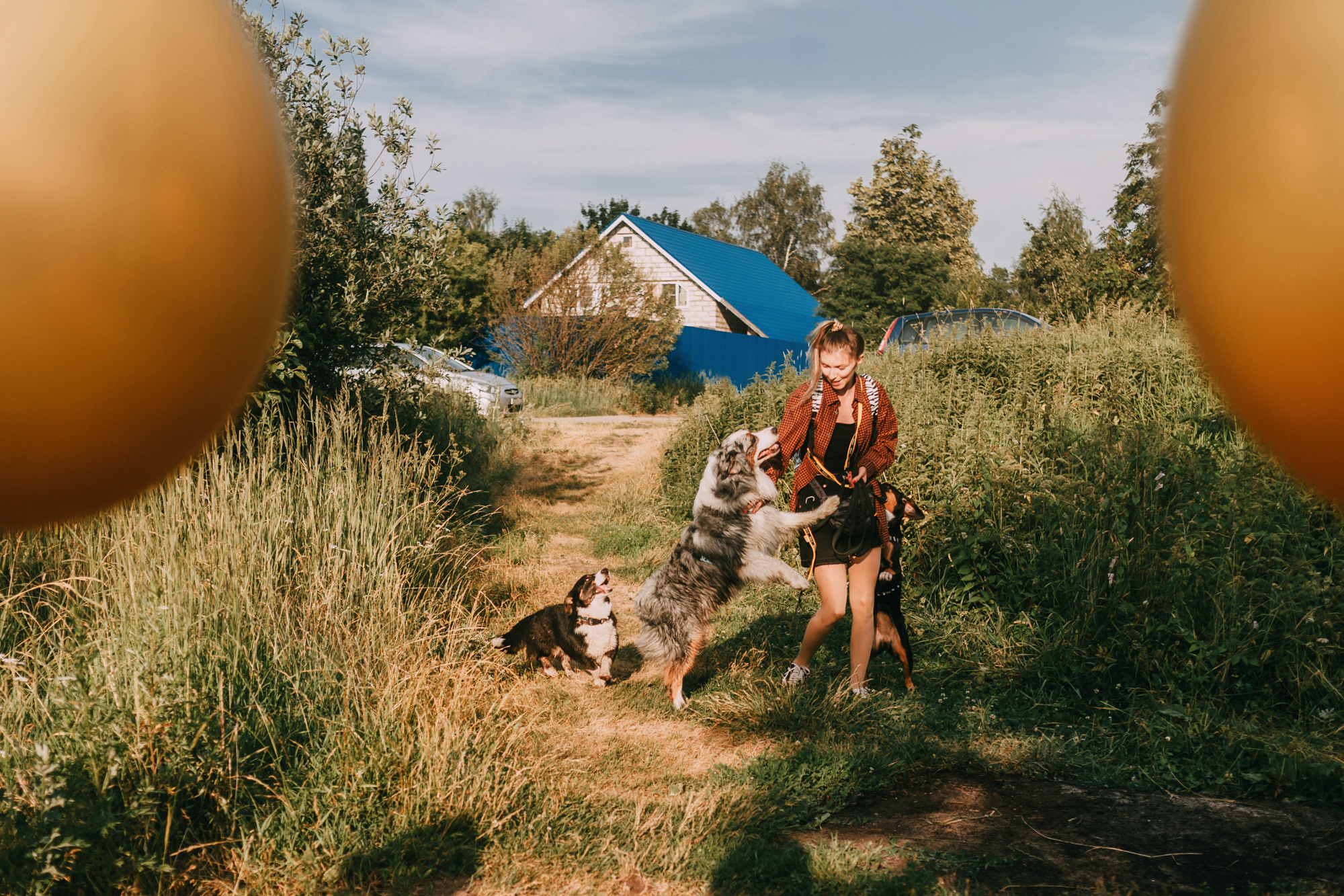 День рождения Морошки. Фотограф-анималист Елена Радченко, Москва