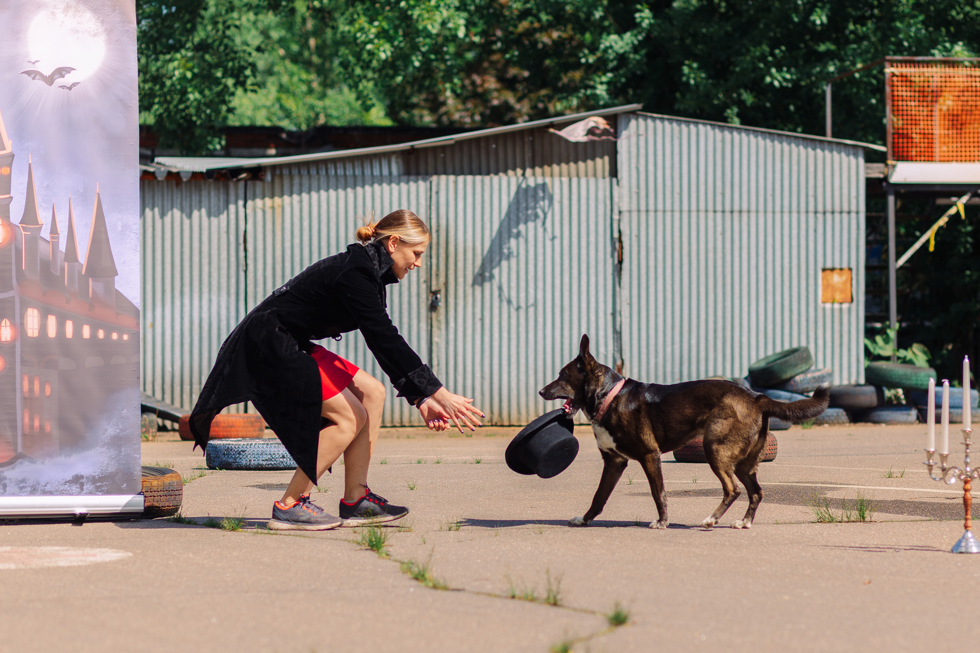 Дог-туса. Фотограф-анималист Елена Радченко, Москва
