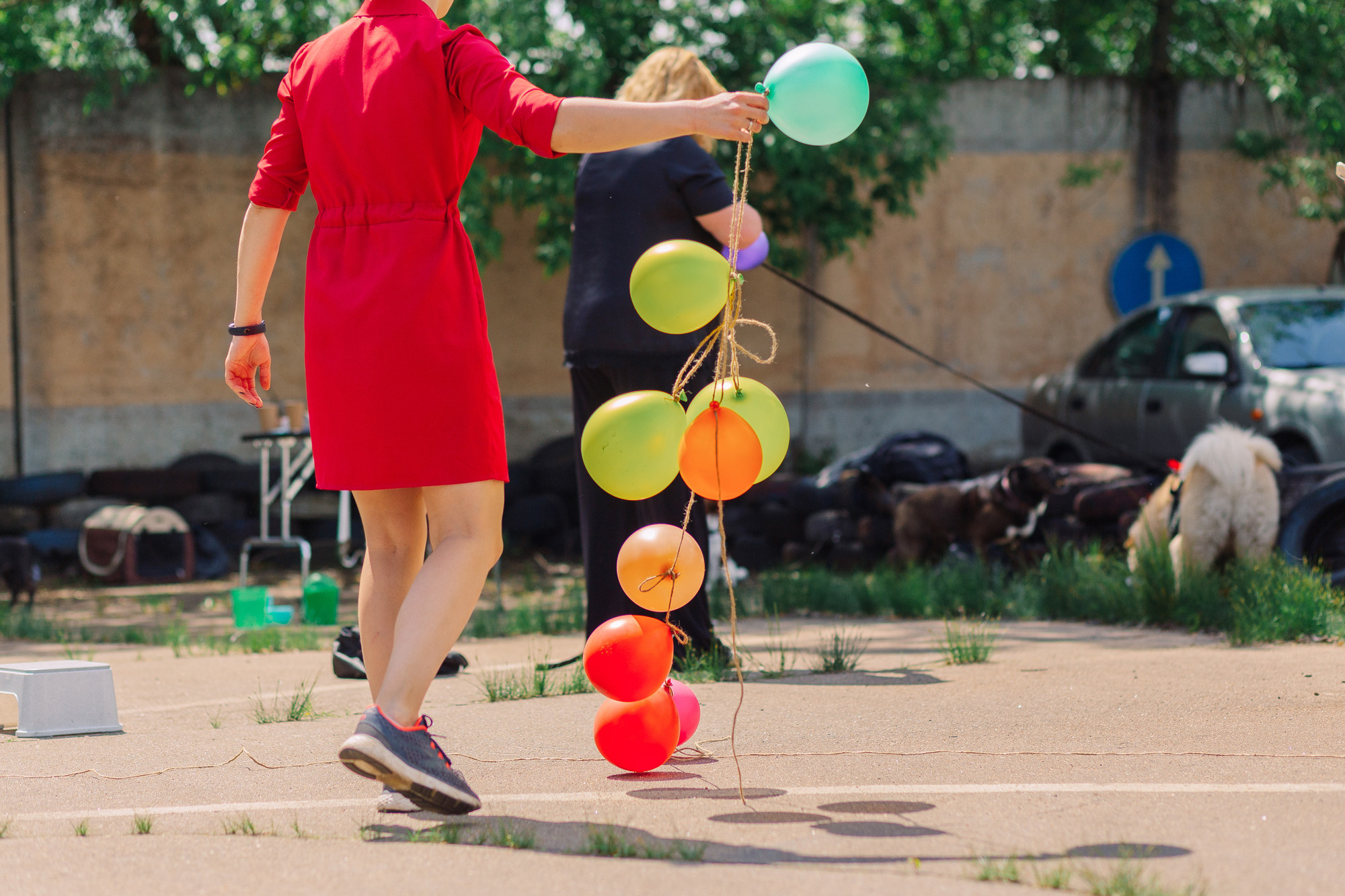 Дог-туса. Фотограф-анималист Елена Радченко, Москва