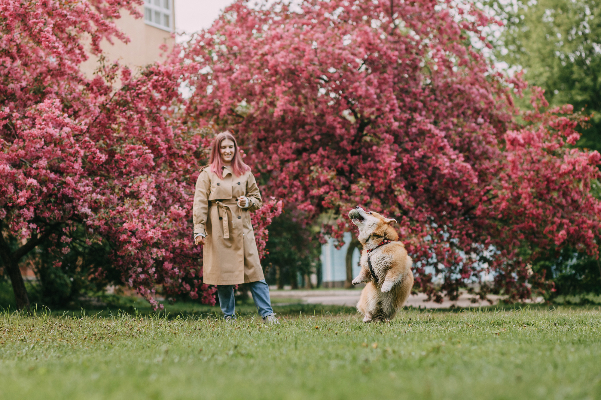 Анна и Филипп. Фотограф-анималист Елена Радченко, Москва