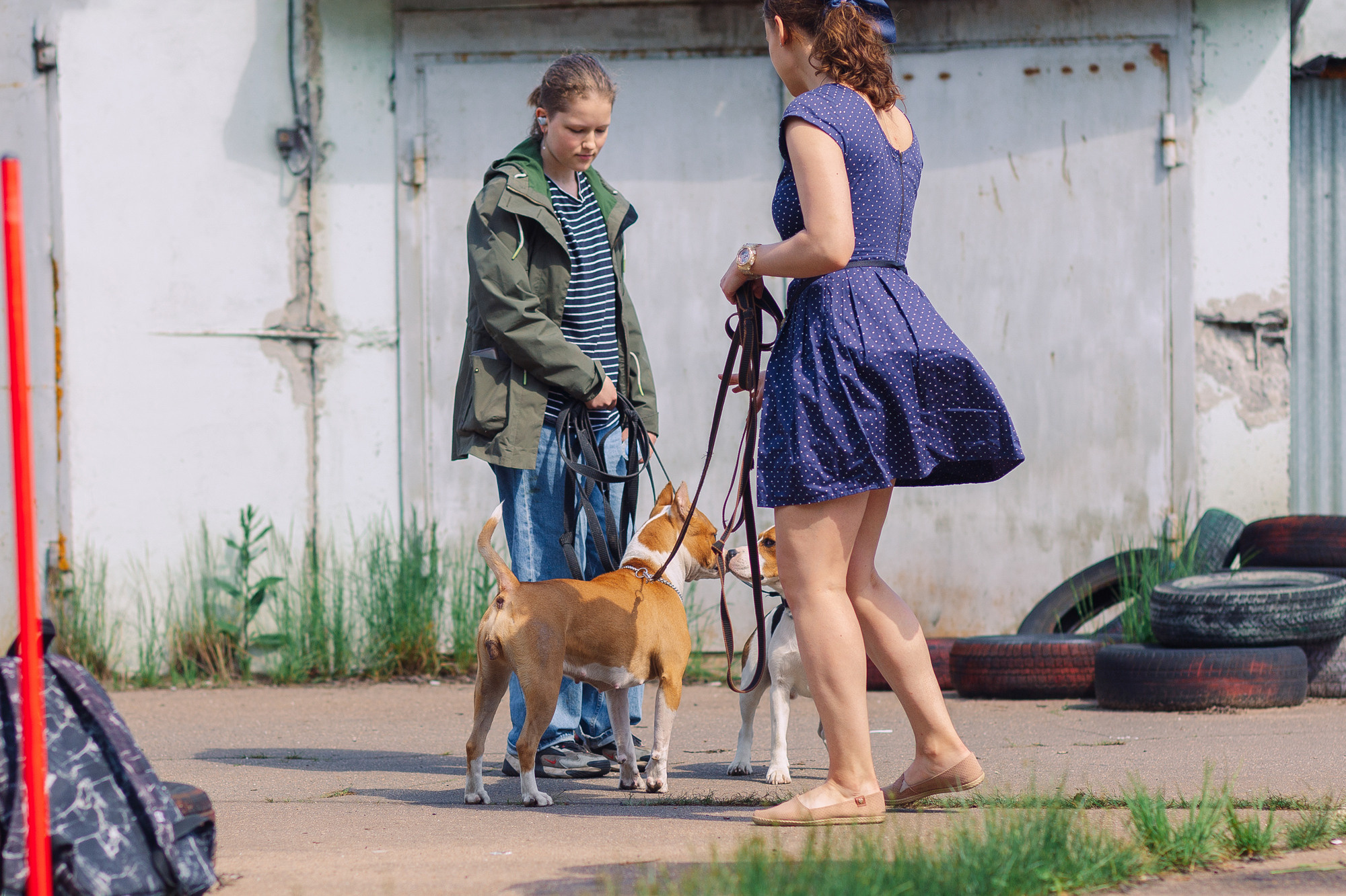 Дог-туса. Фотограф-анималист Елена Радченко, Москва