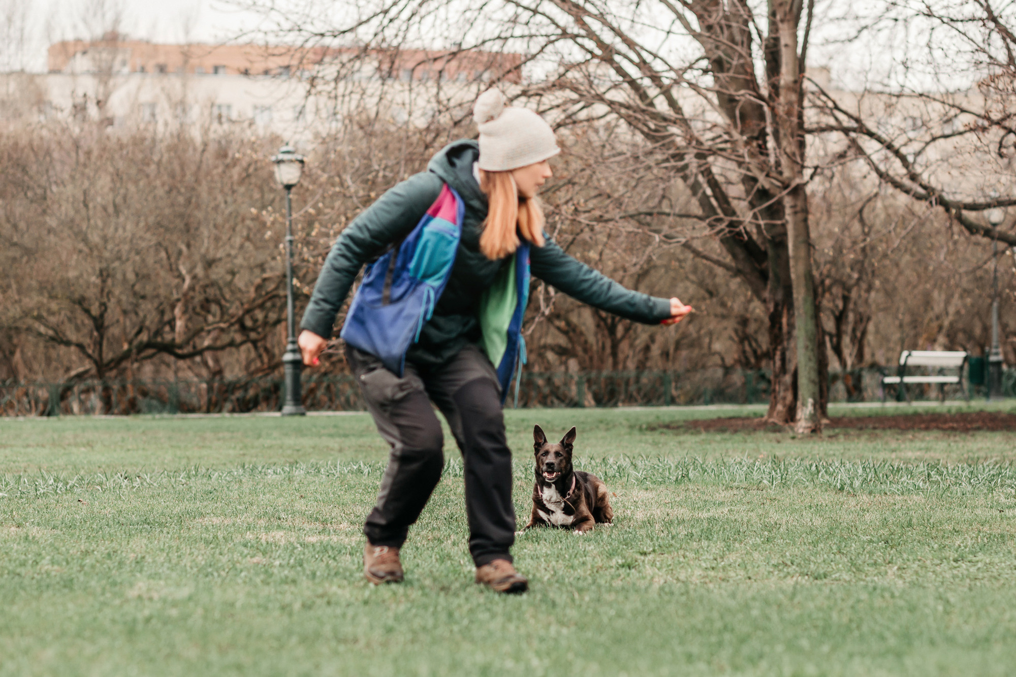 Ира, Бэлла и Альма. Фотограф-анималист Елена Радченко, Москва