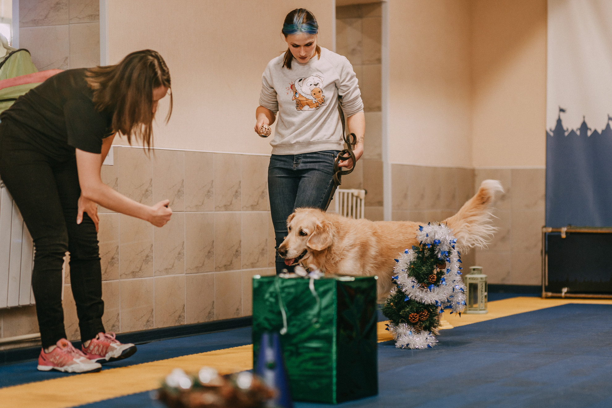 Собачий Новый год. Фотограф-анималист Елена Радченко, Москва
