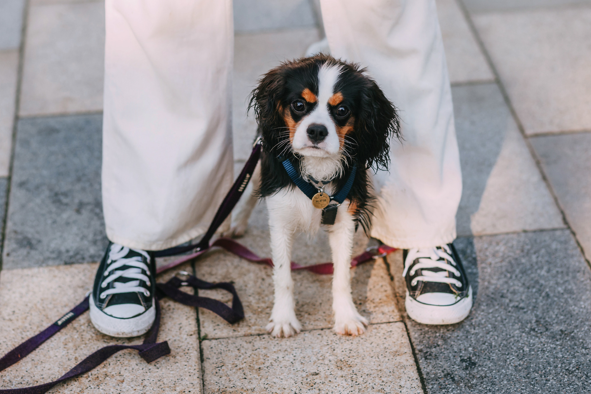 Вика и Морти. Фотограф-анималист Елена Радченко, Москва