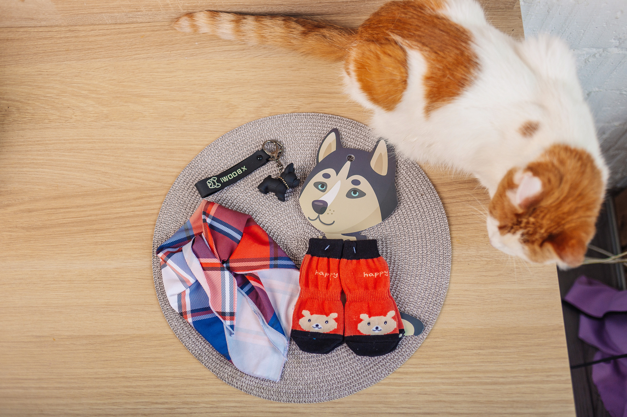 Магазин Friend of mine. Фотограф-анималист Елена Радченко, Москва