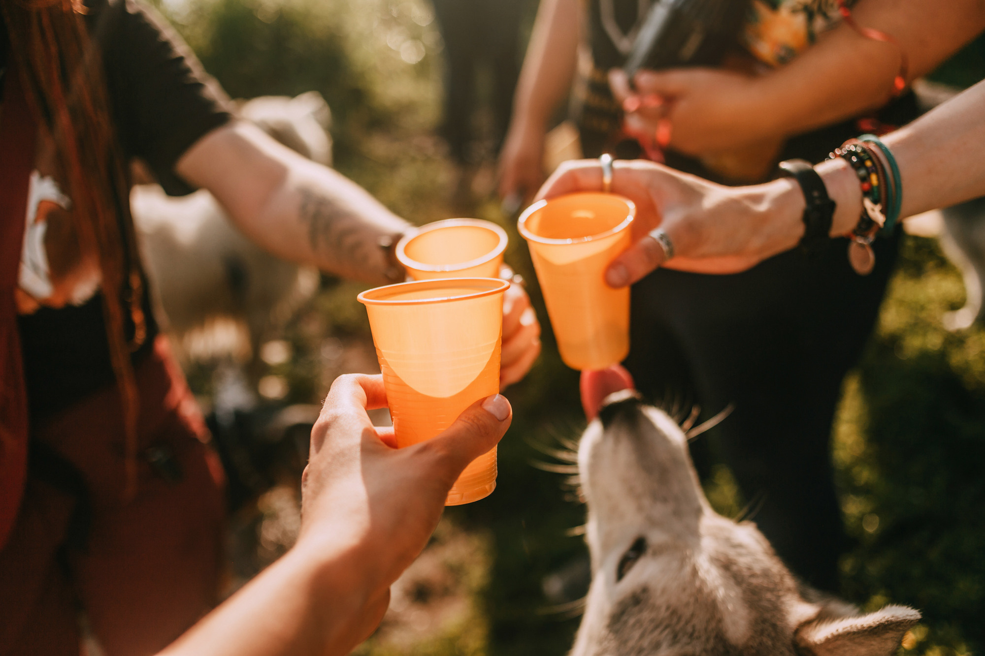 День рождения Морошки. Фотограф-анималист Елена Радченко, Москва