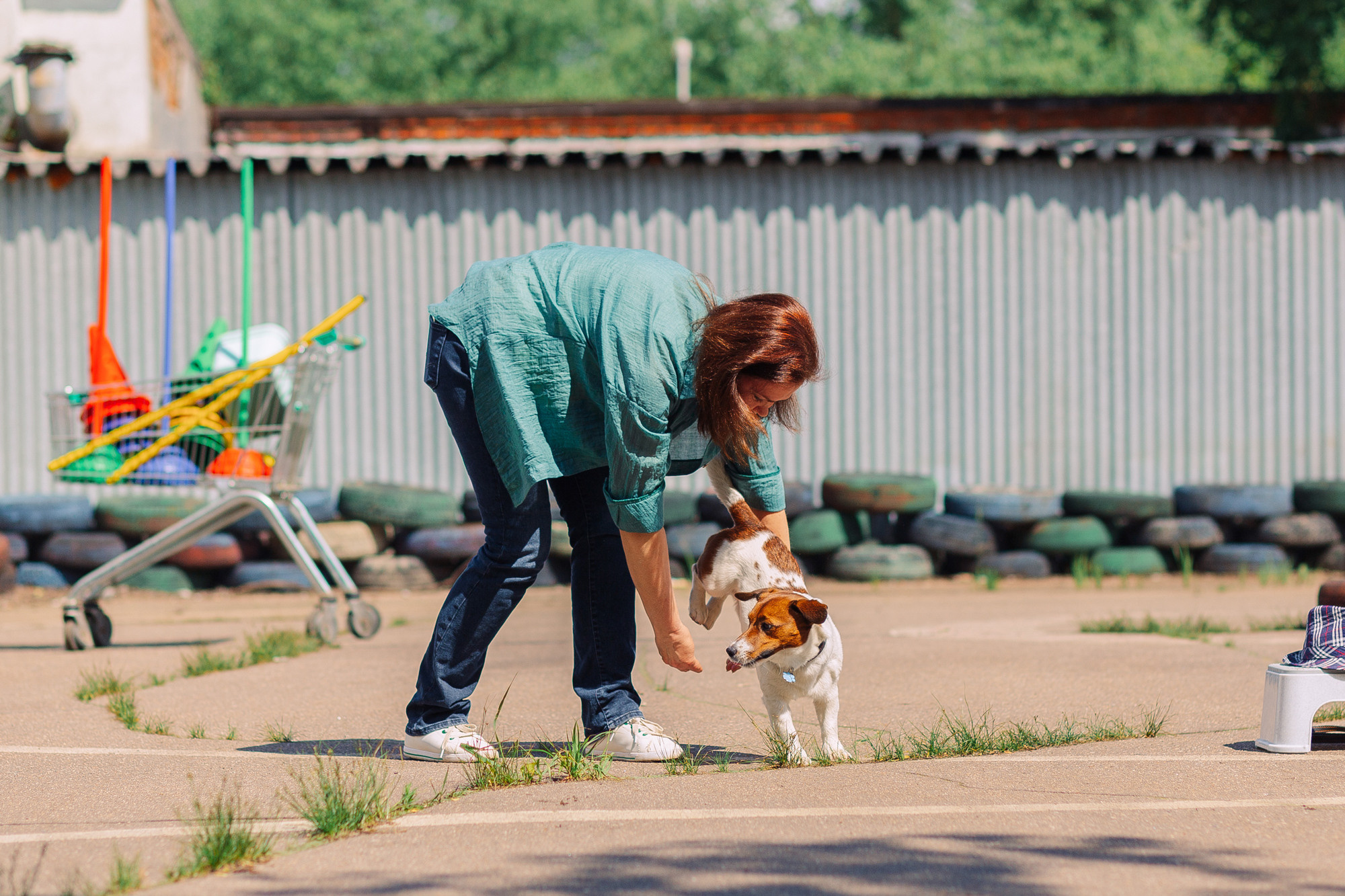 Дог-туса. Фотограф-анималист Елена Радченко, Москва