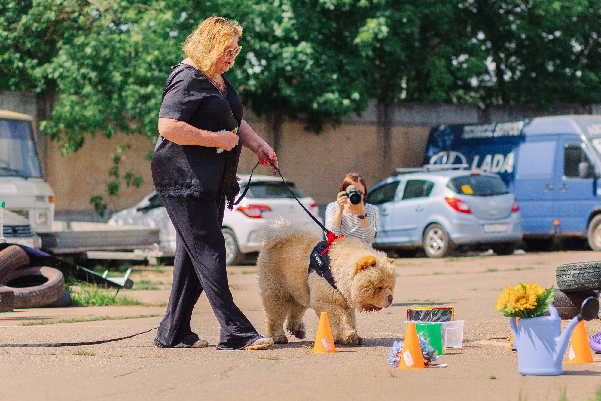 Дог-туса. Фотограф-анималист Елена Радченко, Москва