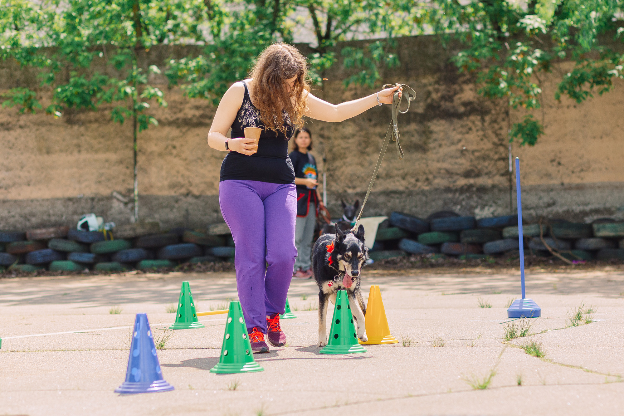 Дог-туса. Фотограф-анималист Елена Радченко, Москва