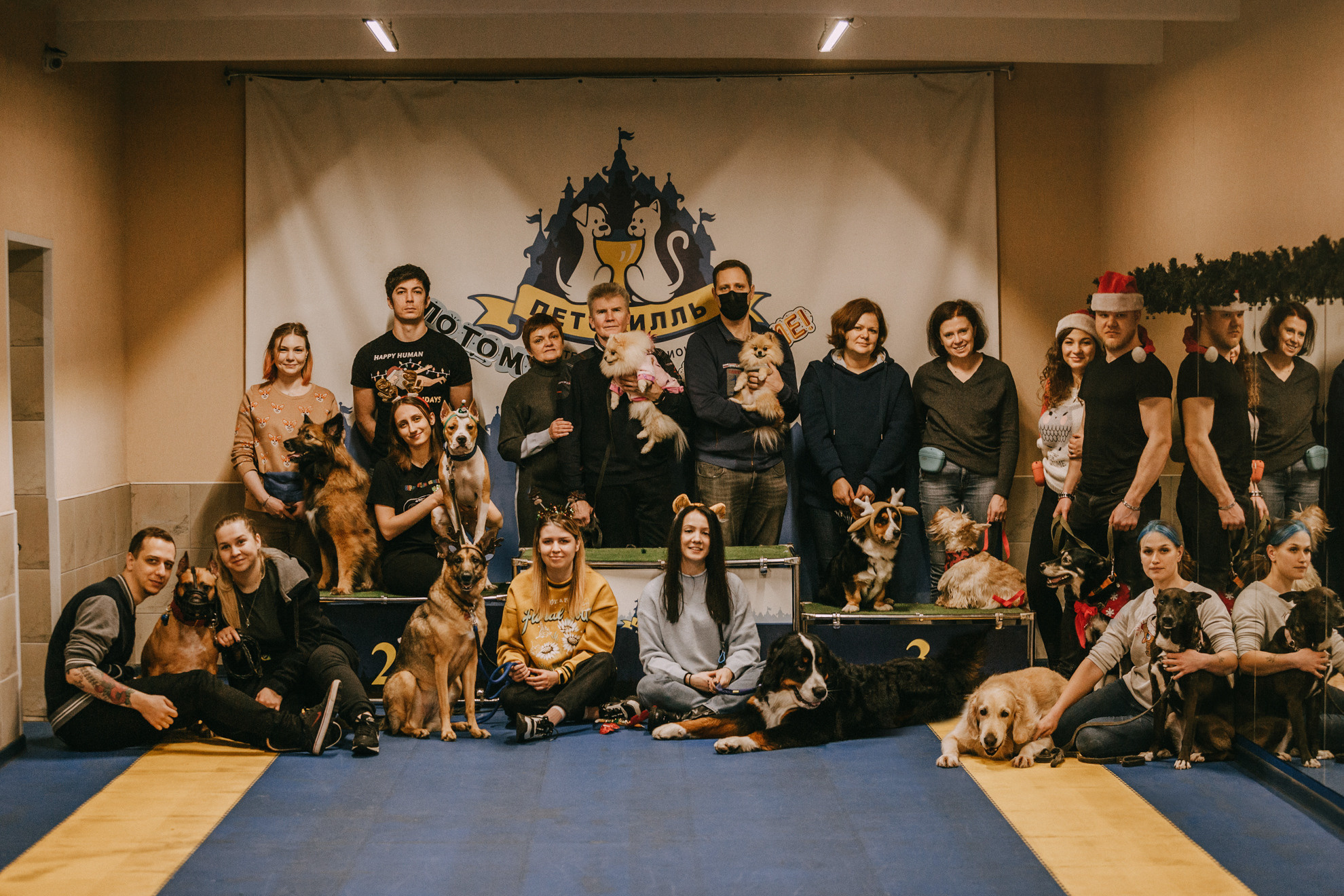 Собачий Новый год. Фотограф-анималист Елена Радченко, Москва