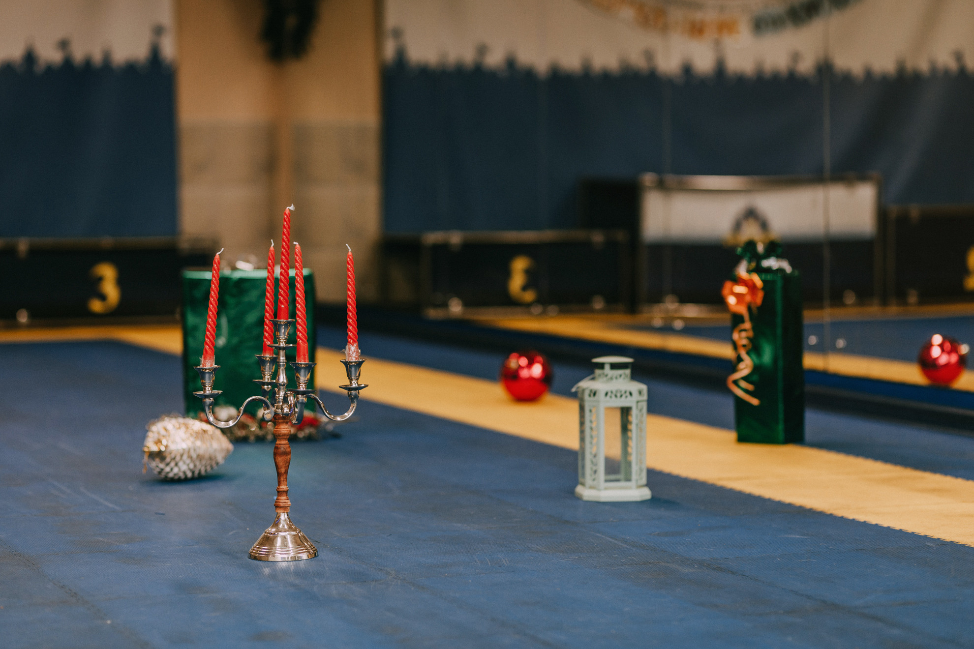 Собачий Новый год. Фотограф-анималист Елена Радченко, Москва