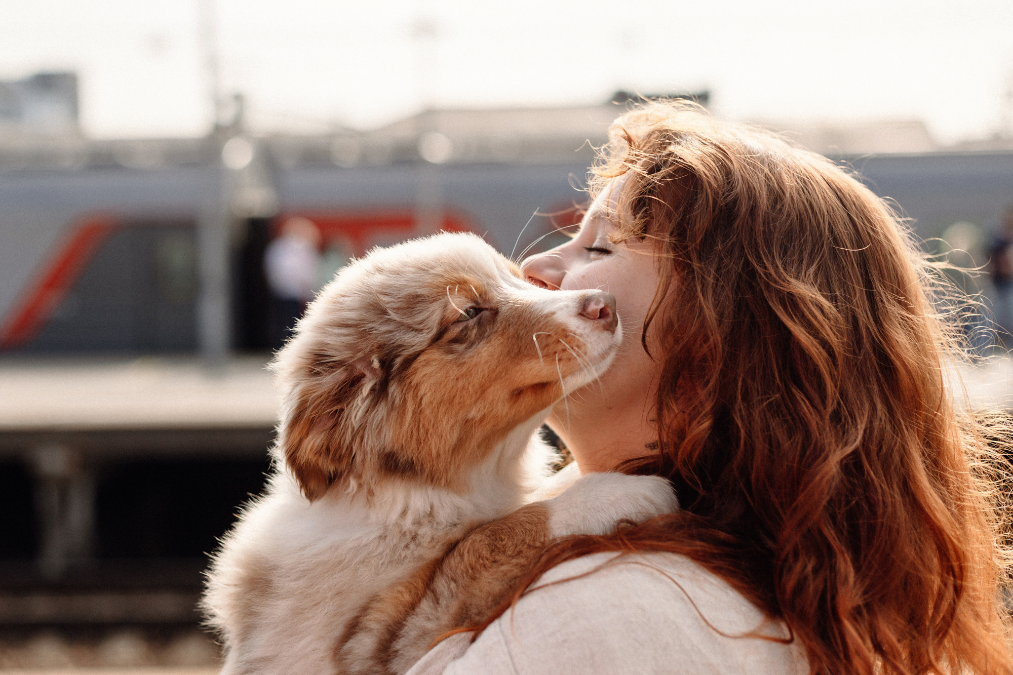 Тася и Брусника. Встреча с поезда. Фотограф-анималист Елена Радченко, Москва