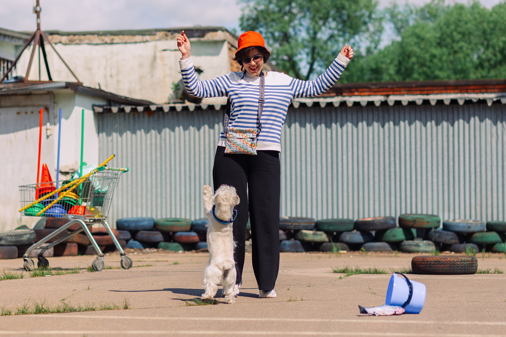 Дог-туса. Фотограф-анималист Елена Радченко, Москва