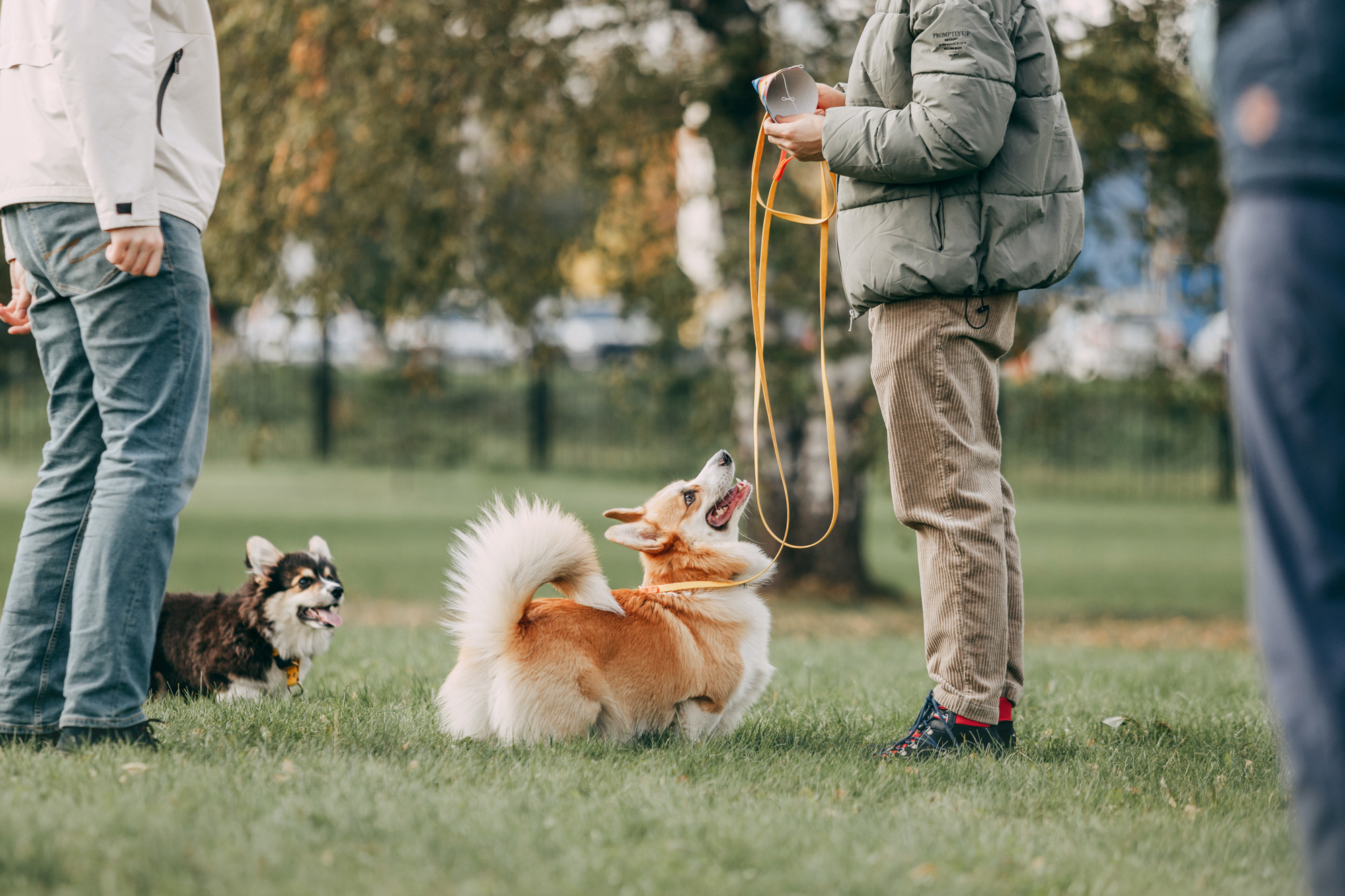 День рождения Габи. Фотограф-анималист Елена Радченко, Москва