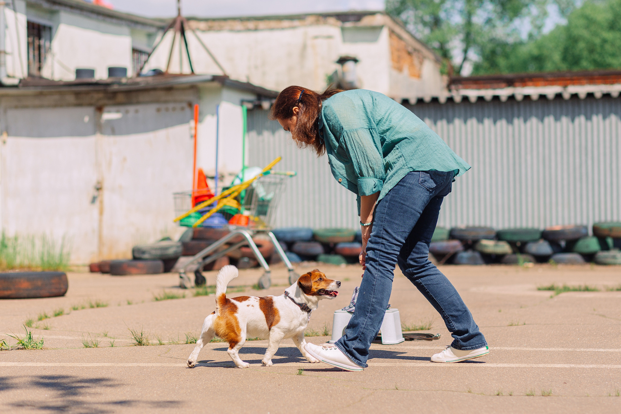 Дог-туса. Фотограф-анималист Елена Радченко, Москва
