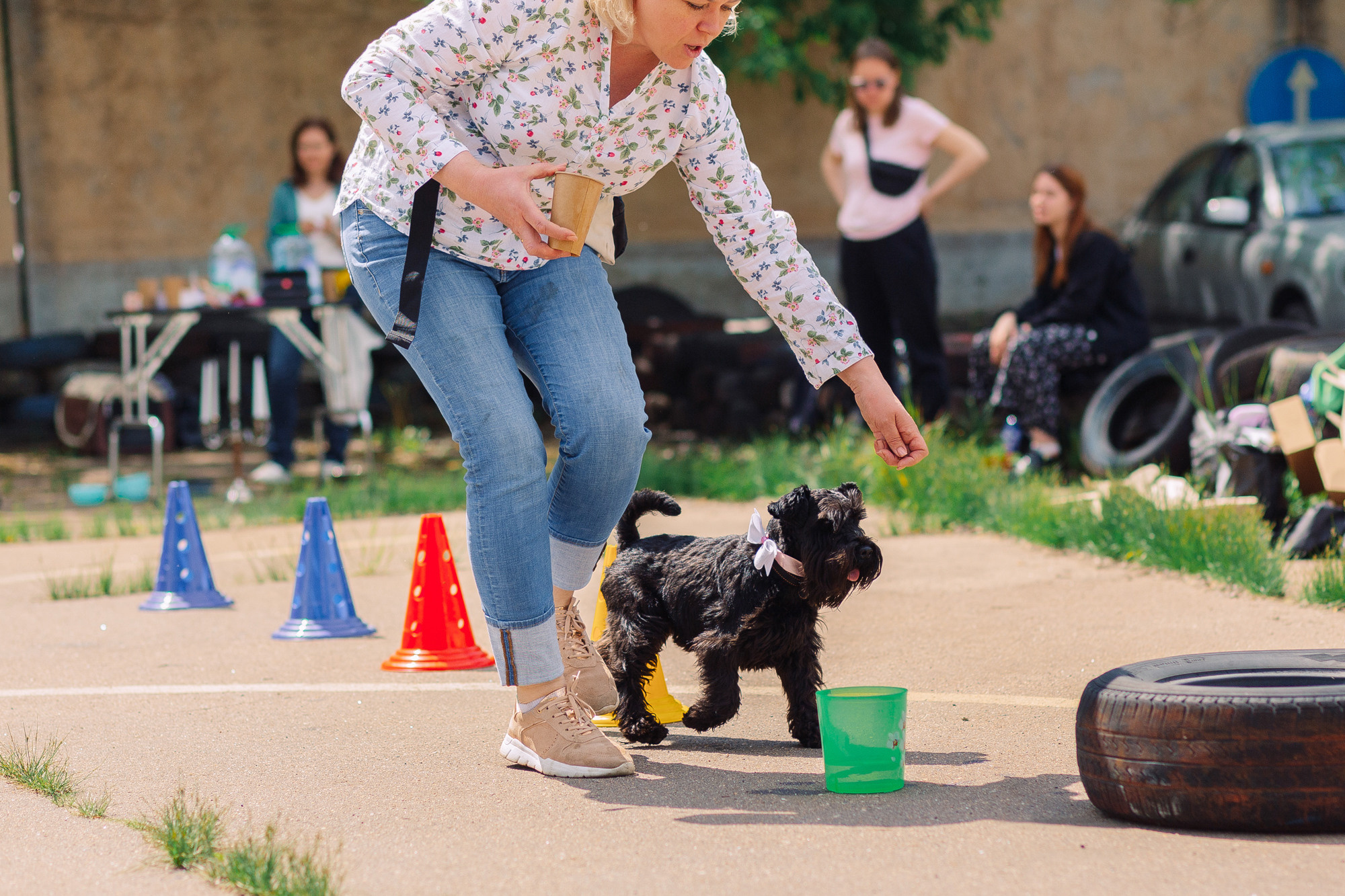 Дог-туса. Фотограф-анималист Елена Радченко, Москва