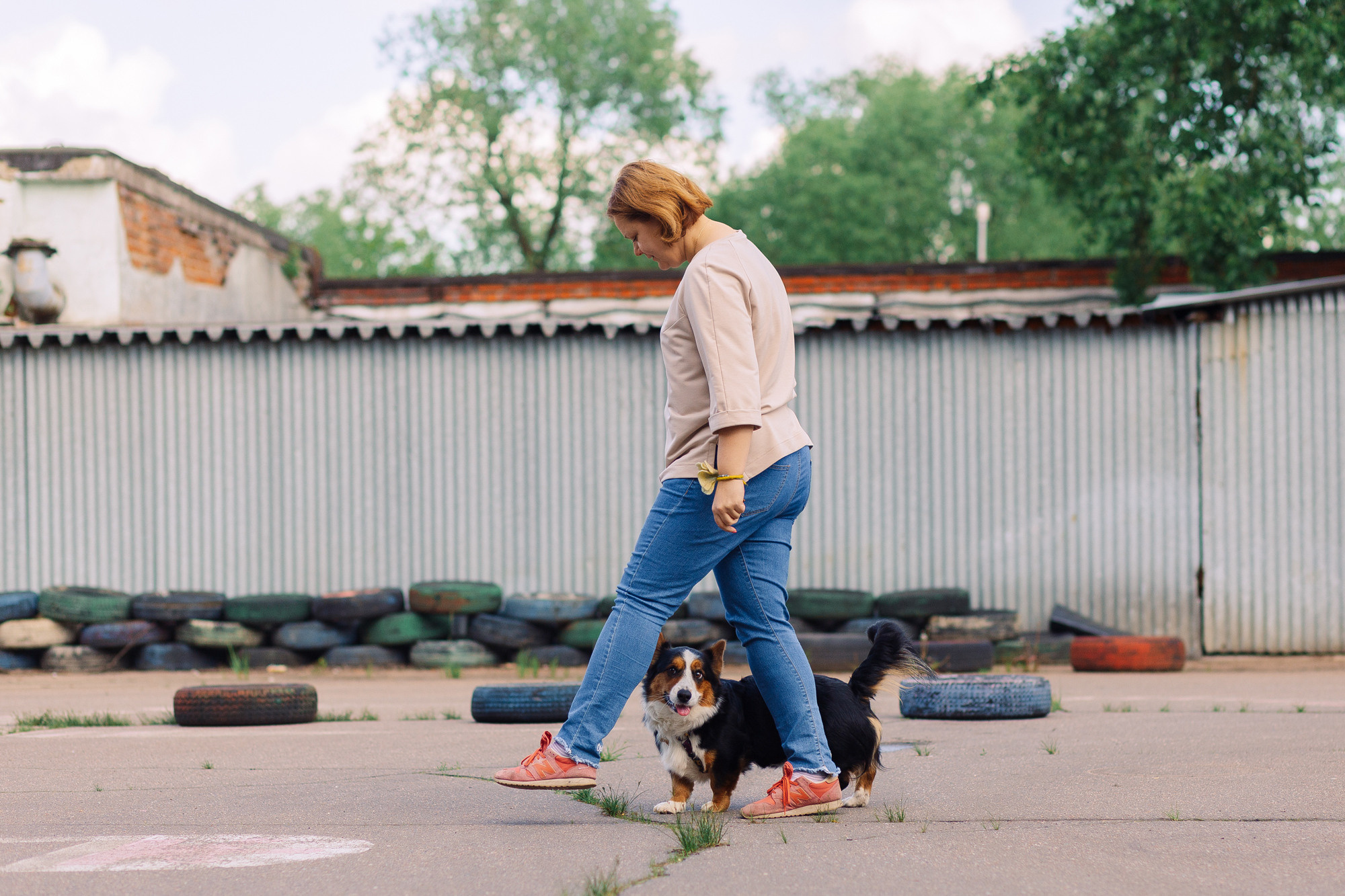 Дог-туса. Фотограф-анималист Елена Радченко, Москва