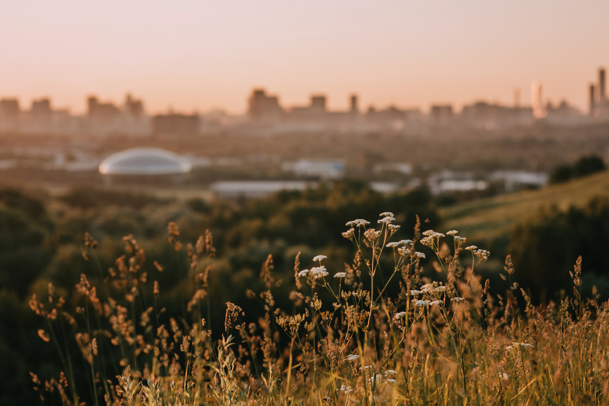 Майя и Снуп. Фотограф-анималист Елена Радченко, Москва