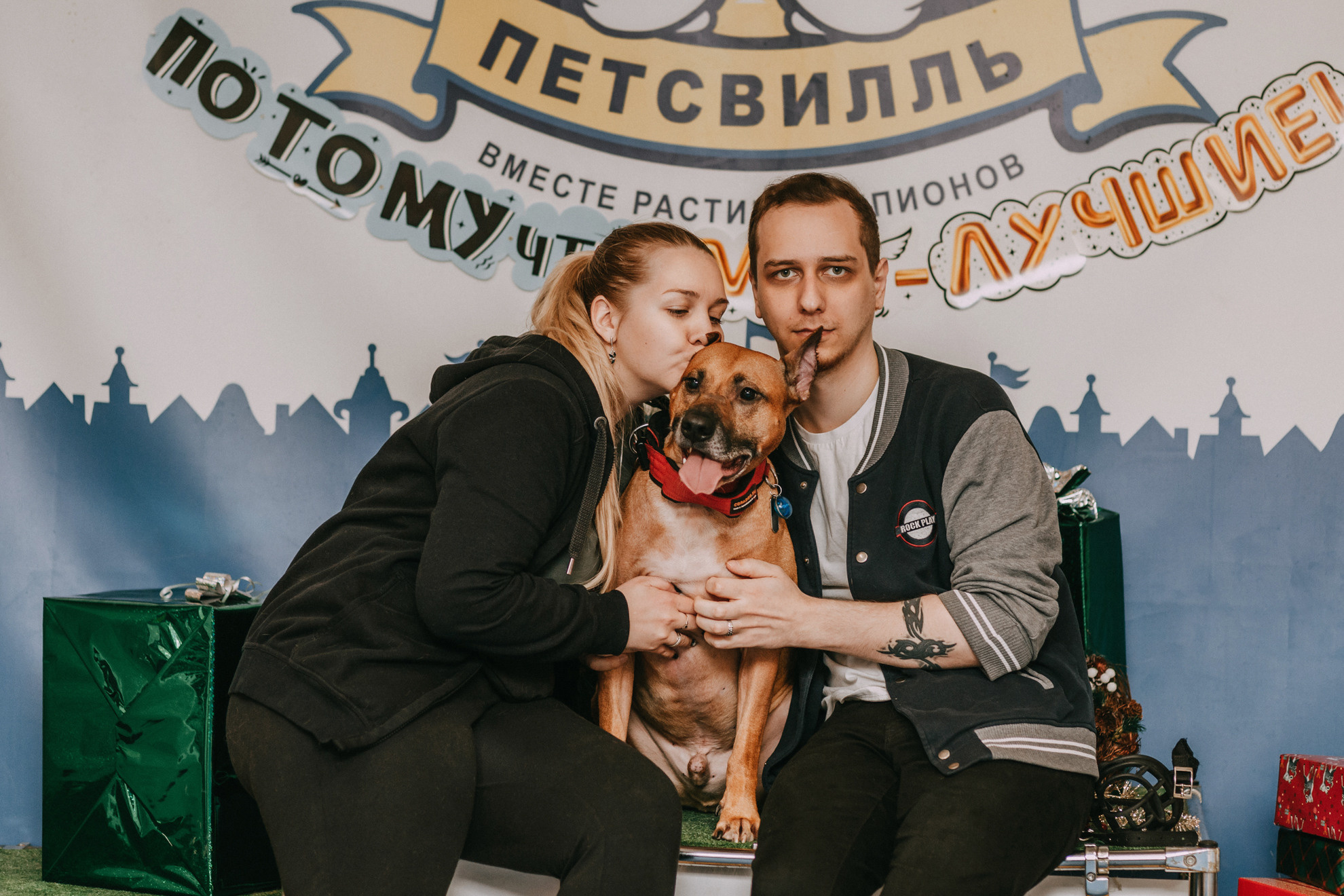 Собачий Новый год. Фотограф-анималист Елена Радченко, Москва