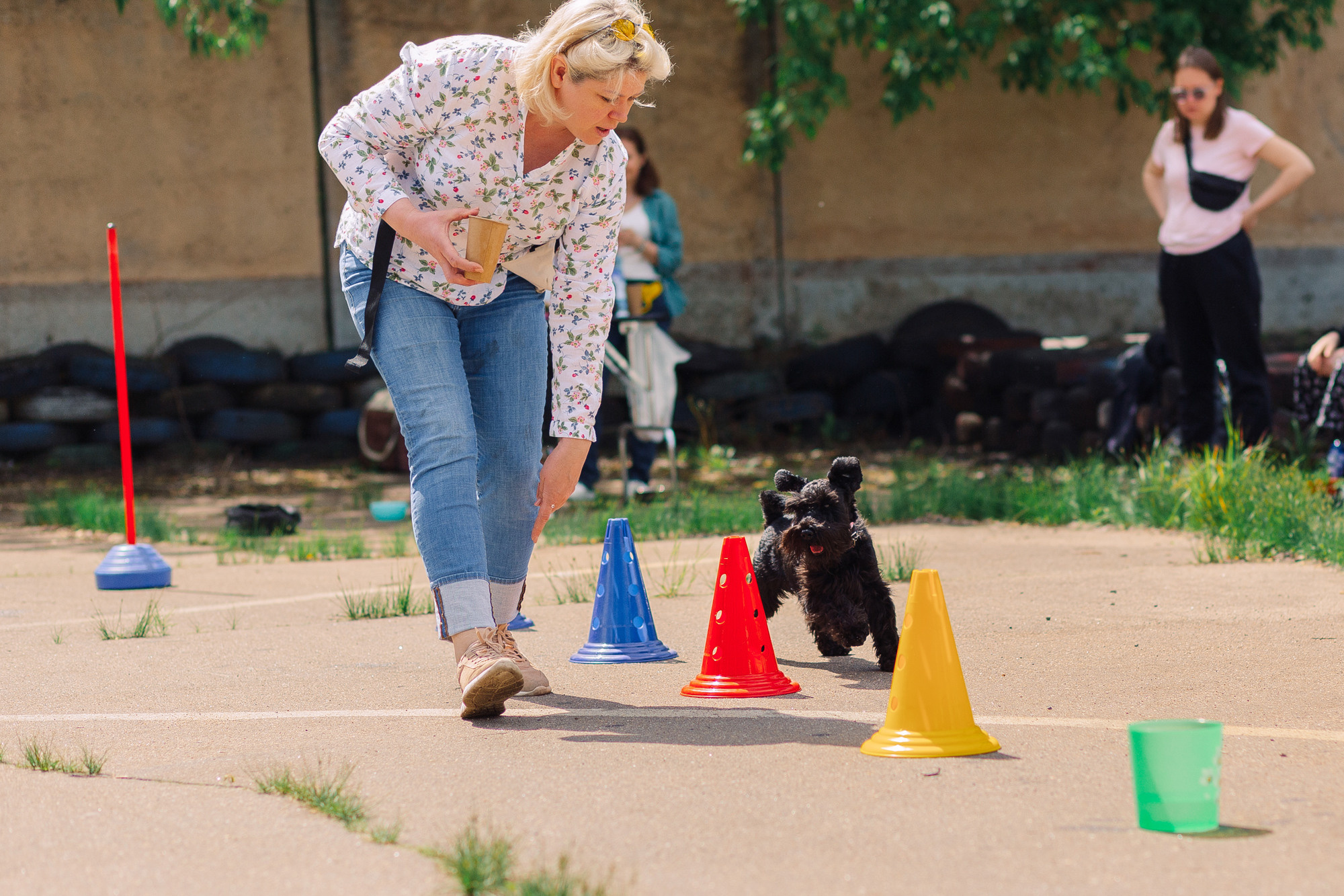 Дог-туса. Фотограф-анималист Елена Радченко, Москва