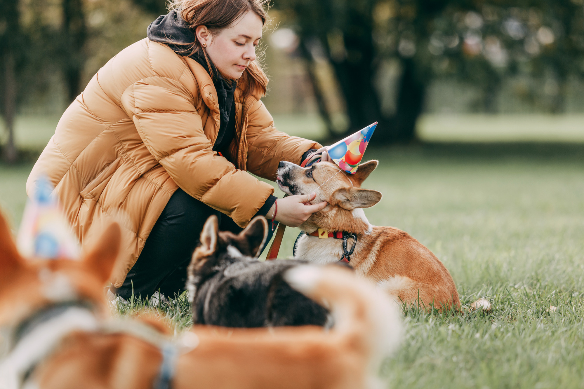 День рождения Габи. Фотограф-анималист Елена Радченко, Москва