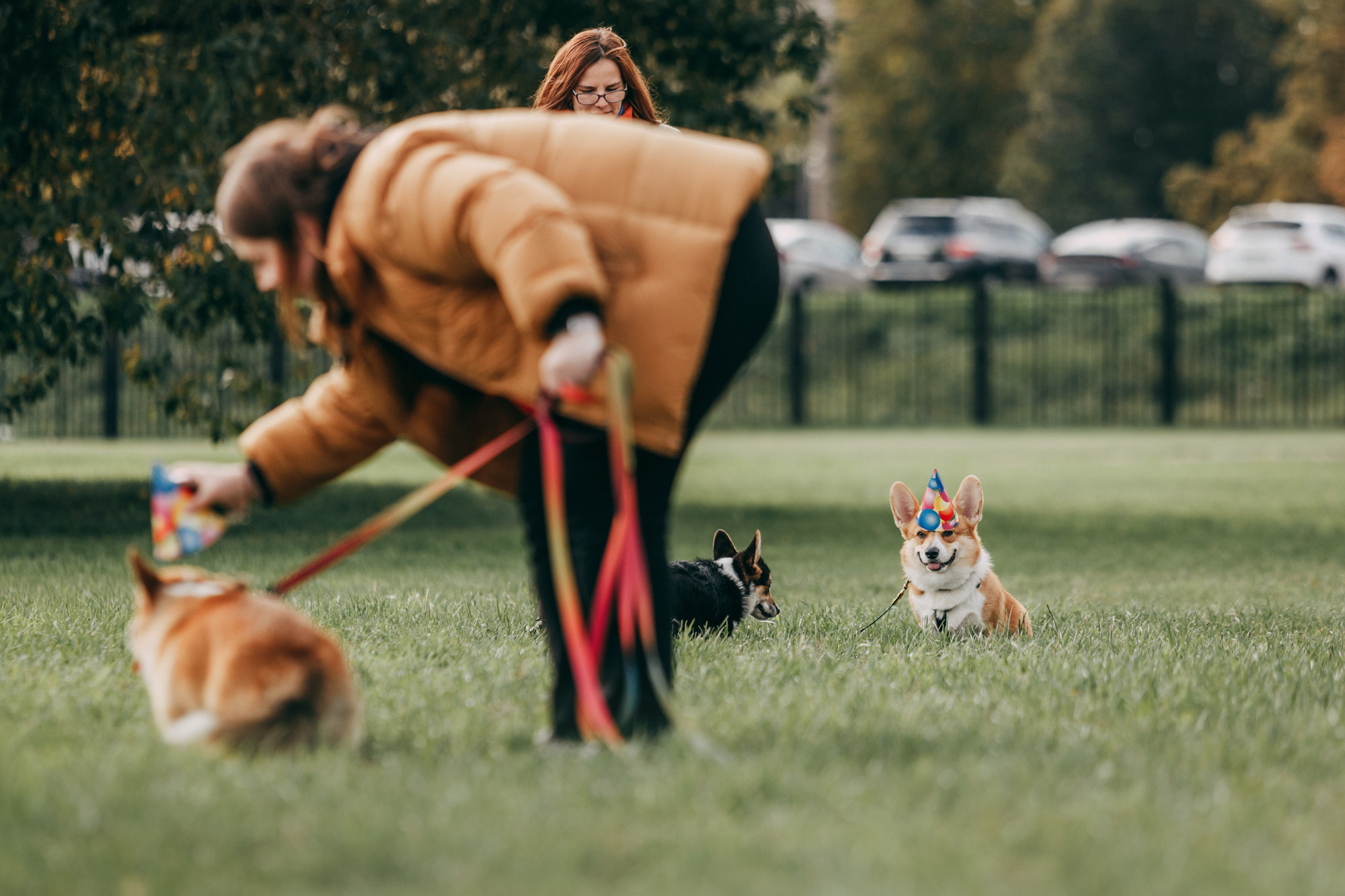День рождения Габи. Фотограф-анималист Елена Радченко, Москва