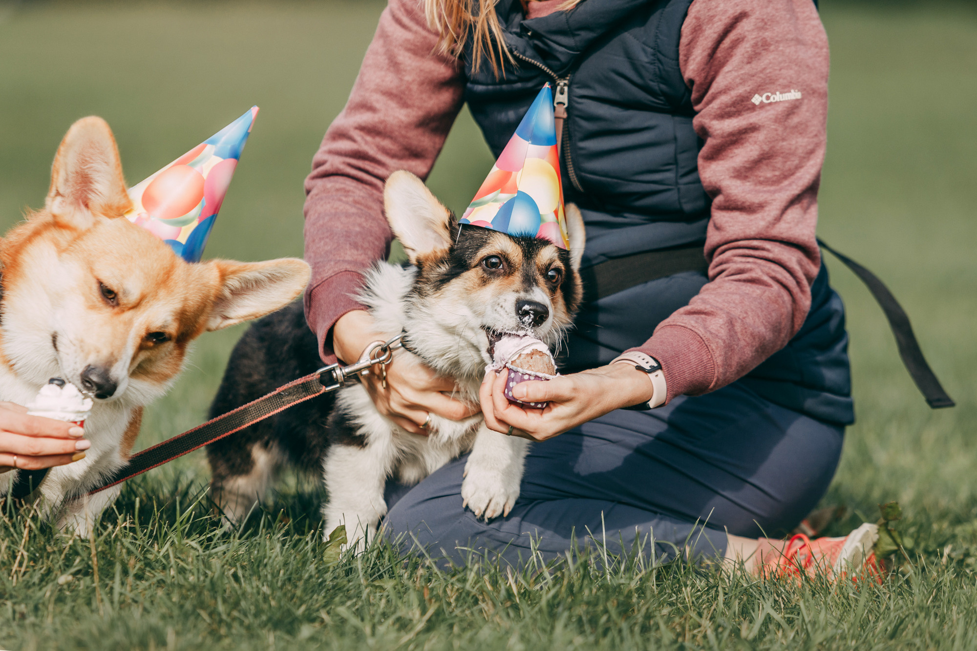 День рождения Габи. Фотограф-анималист Елена Радченко, Москва