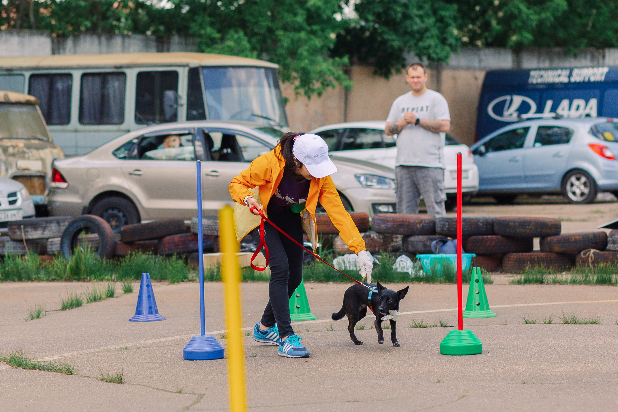 Дог-туса. Фотограф-анималист Елена Радченко, Москва