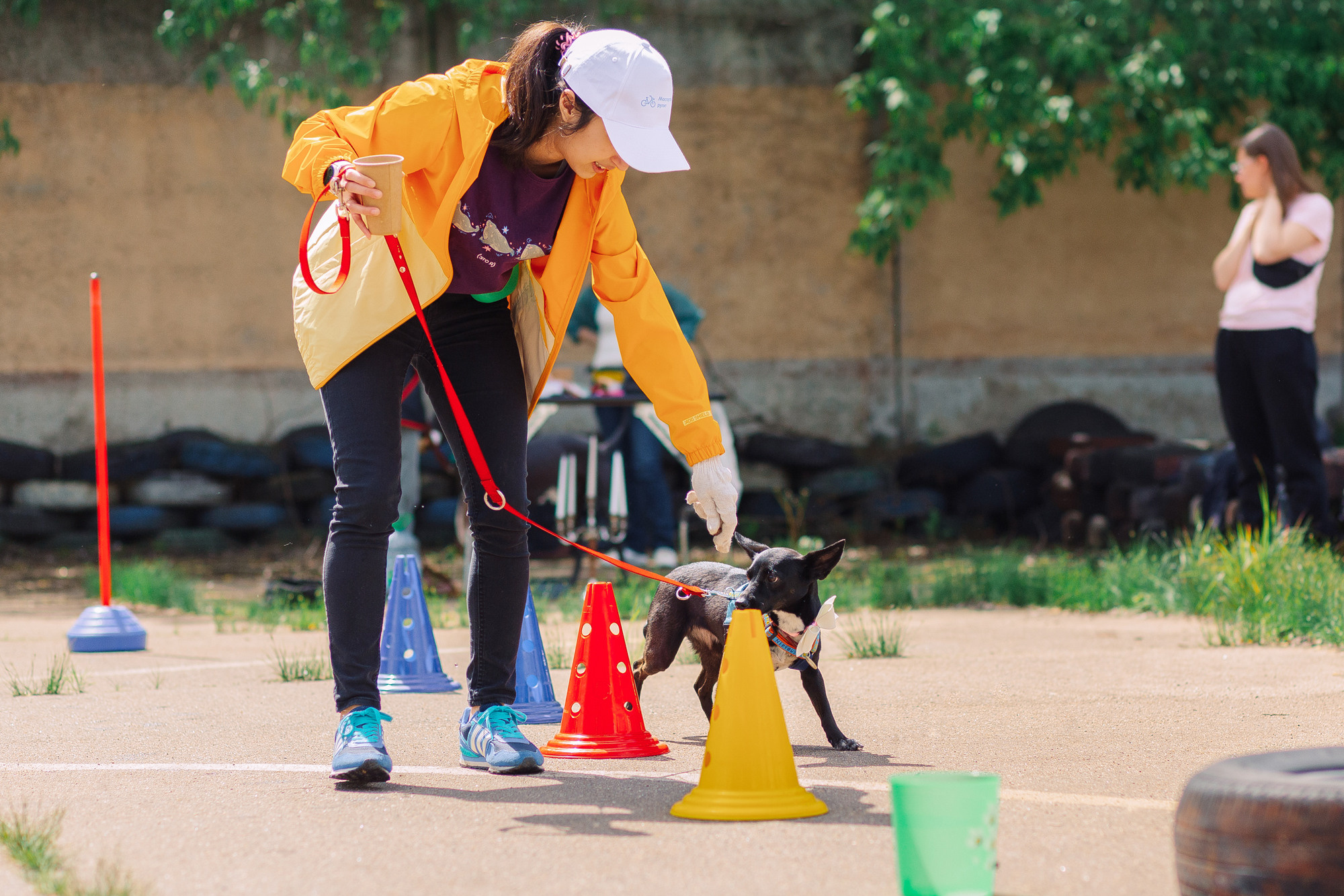 Дог-туса. Фотограф-анималист Елена Радченко, Москва