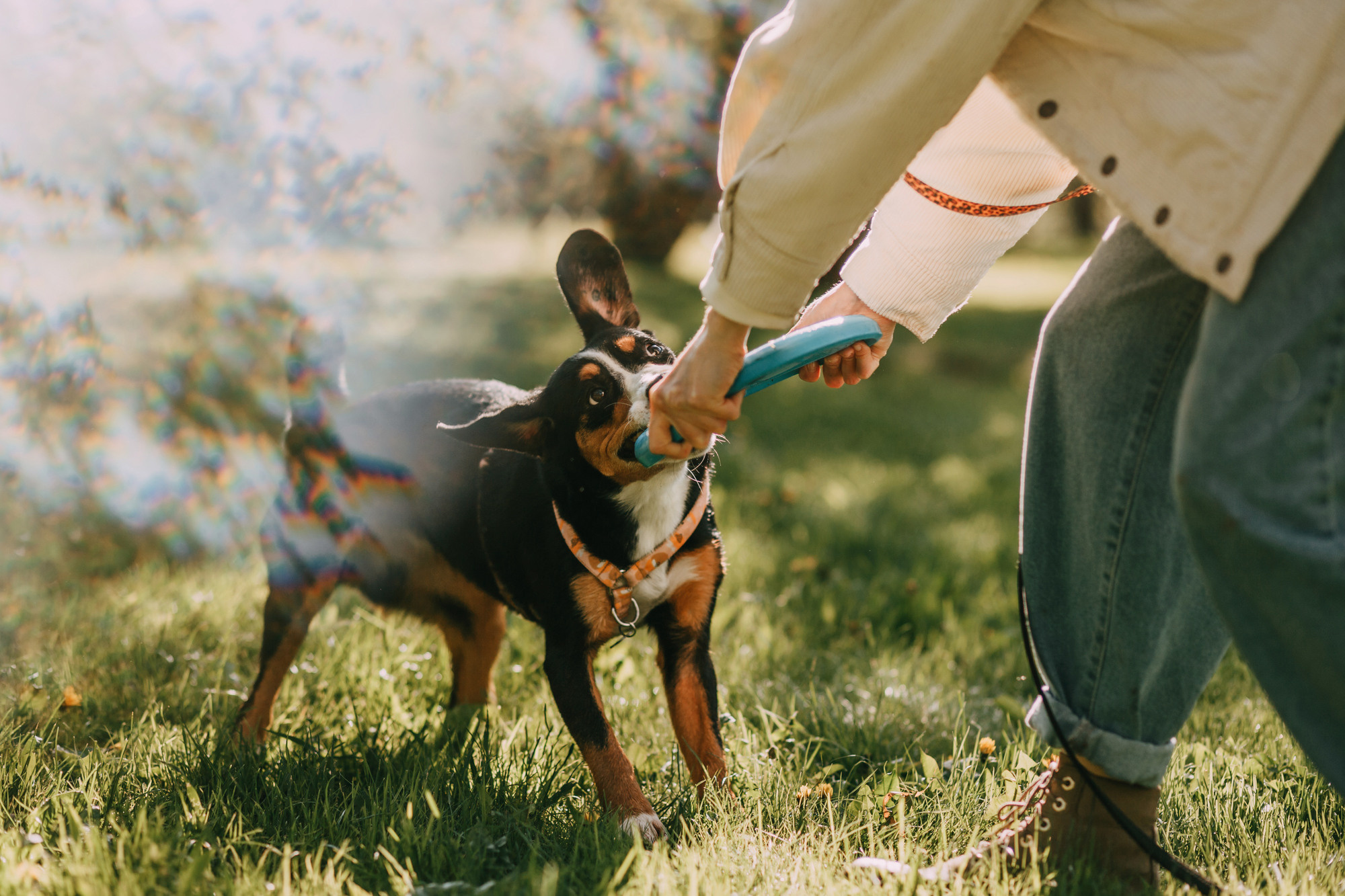 Аня и Вафля. Фотограф-анималист Елена Радченко, Москва