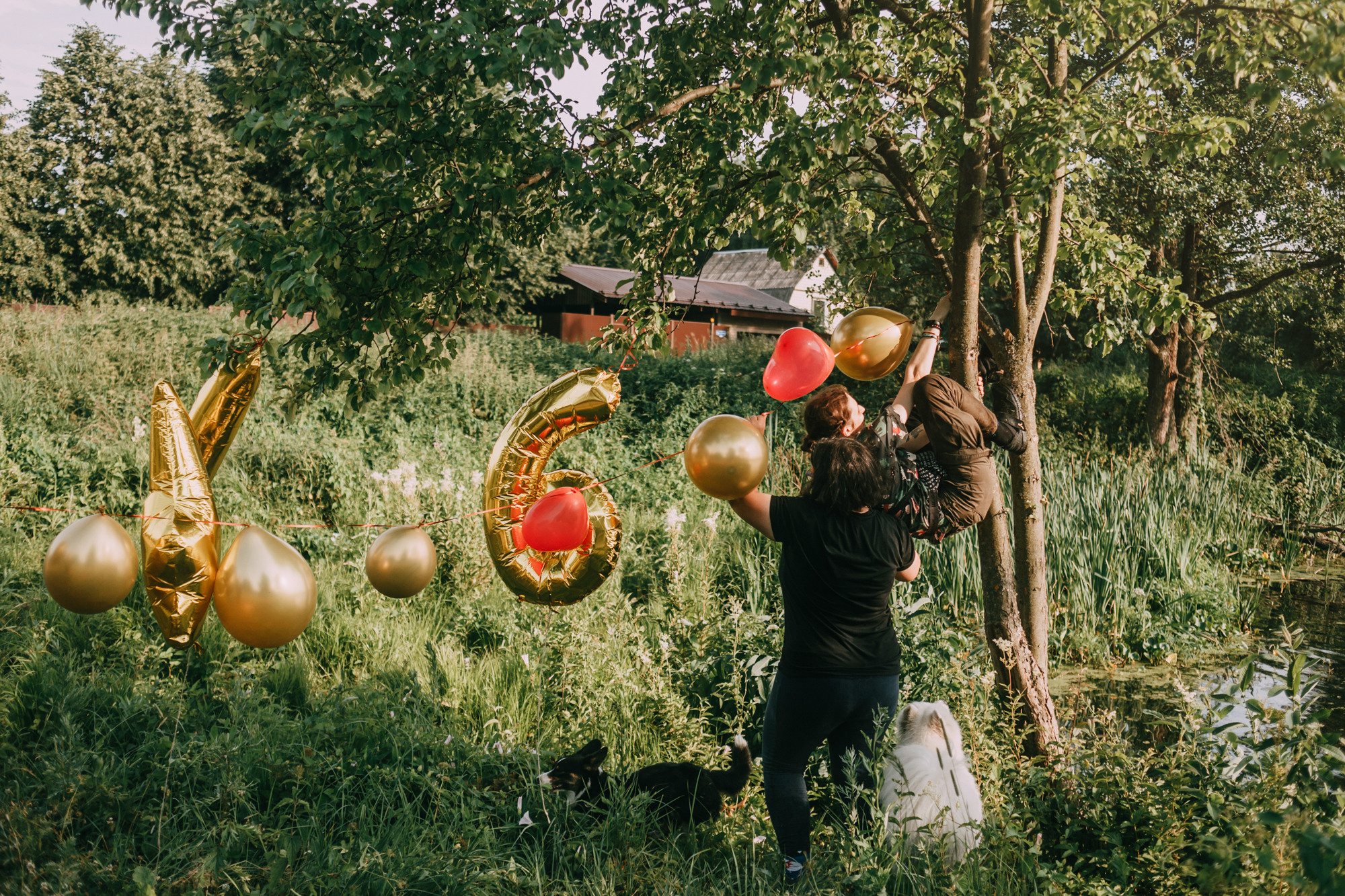 День рождения Морошки. Фотограф-анималист Елена Радченко, Москва