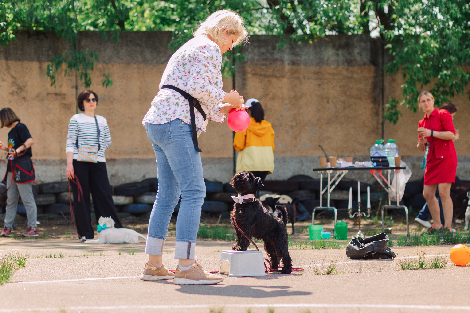 Дог-туса. Фотограф-анималист Елена Радченко, Москва