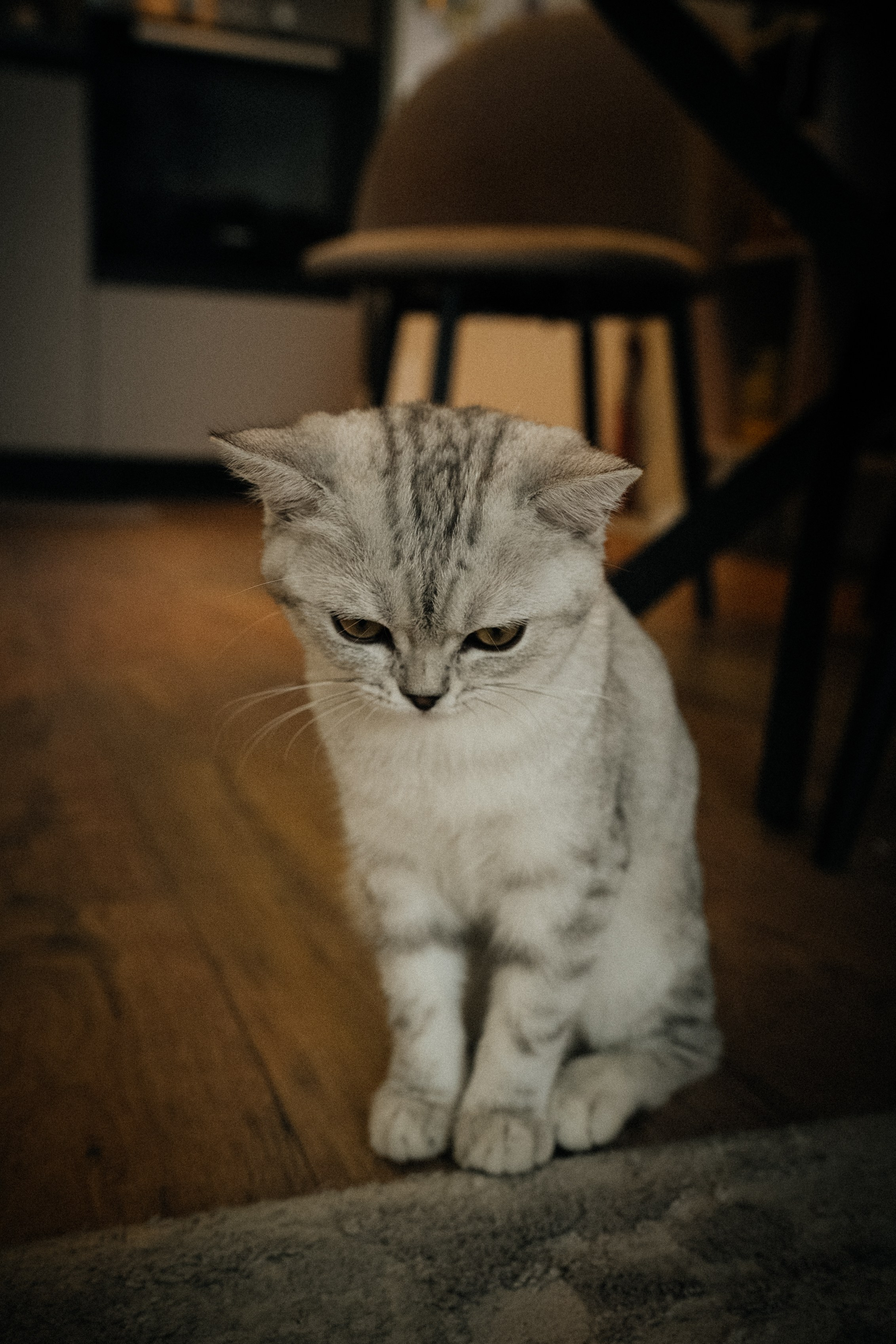 Семья Ксении и Максима. Фотограф | Юлия Арт| Обучение