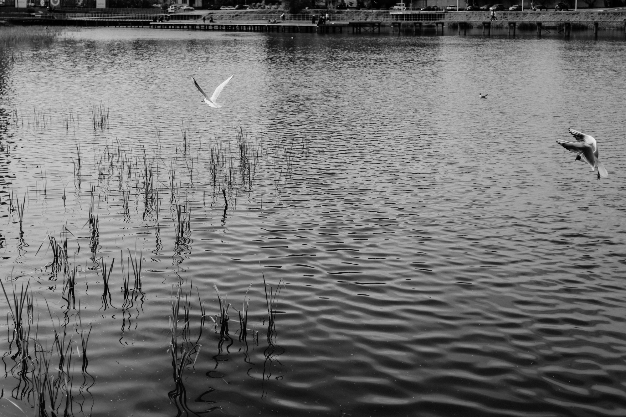 Мужской фотограф в Тюмени Стрит-съемка в Европейском микрорайоне. Портретный фотограф Тюмень Дарья Мустафина