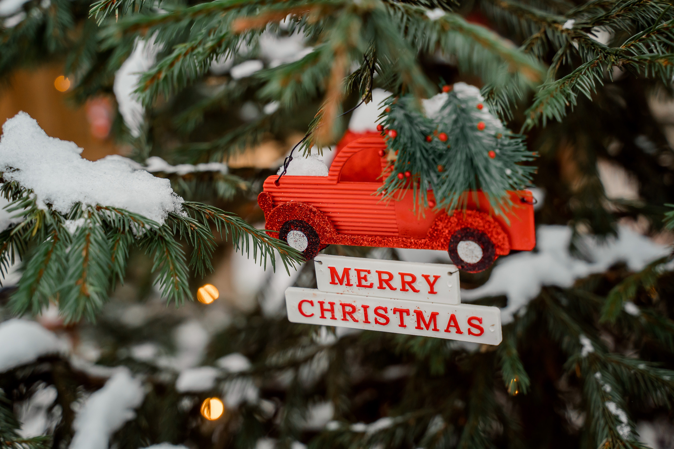 Семейная фотосессия в локации Шале (Домик в лесу, Ногинск)