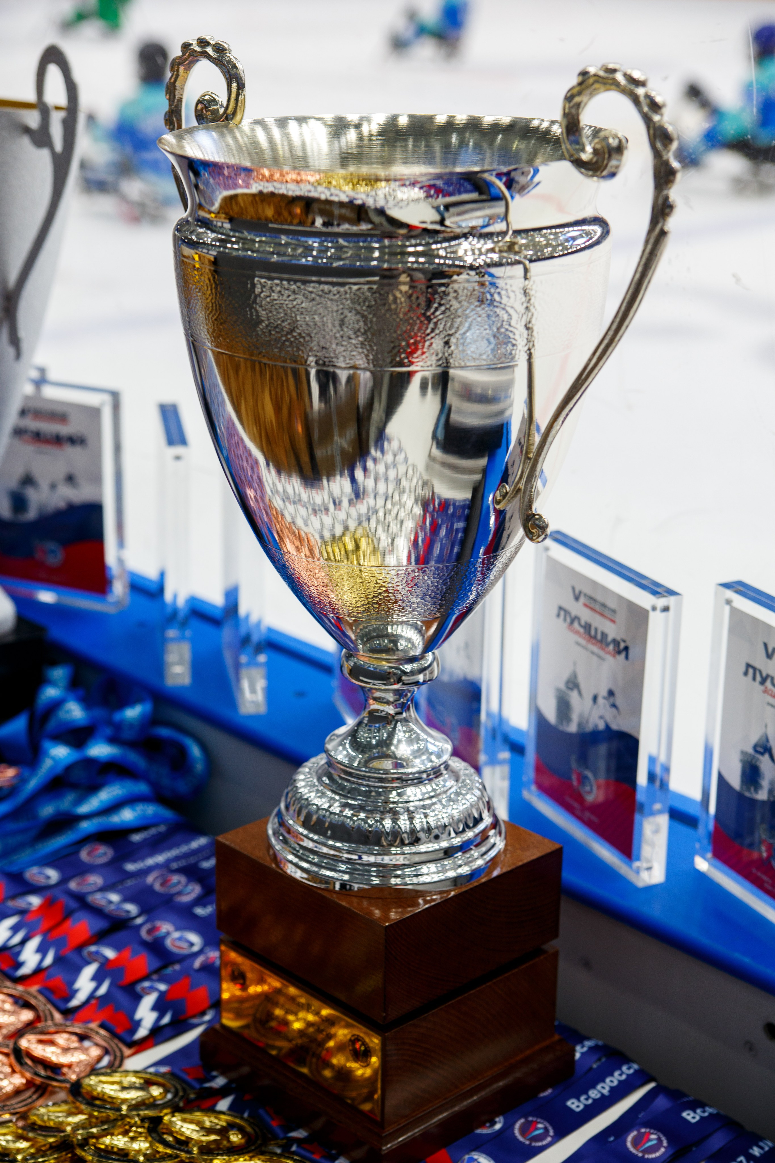 Турнир по Следж-хоккею. Фотограф Шагалов Михаил