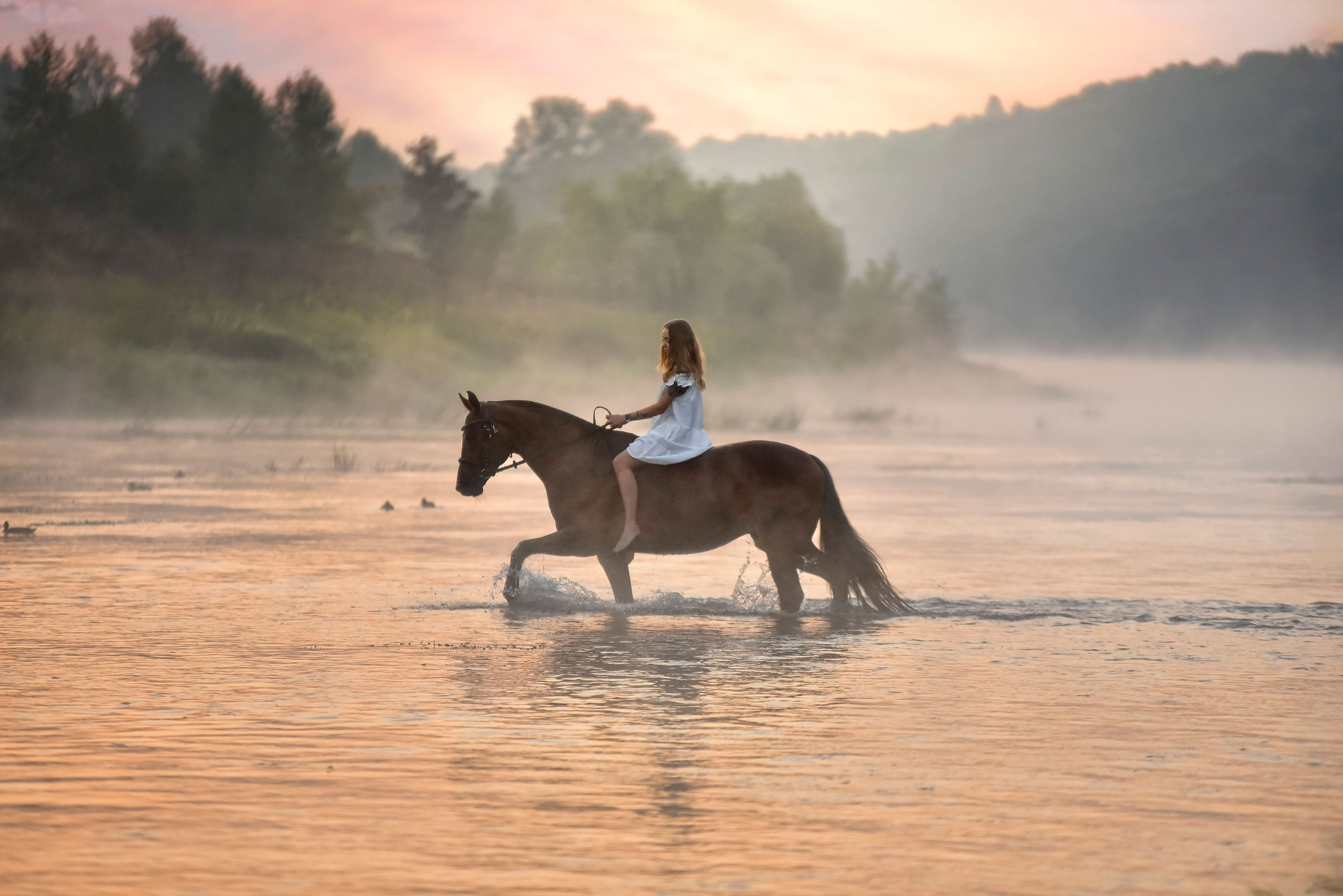 Съемки с лошадьми. Конный фотограф из Москвы Ирина Бондаркова