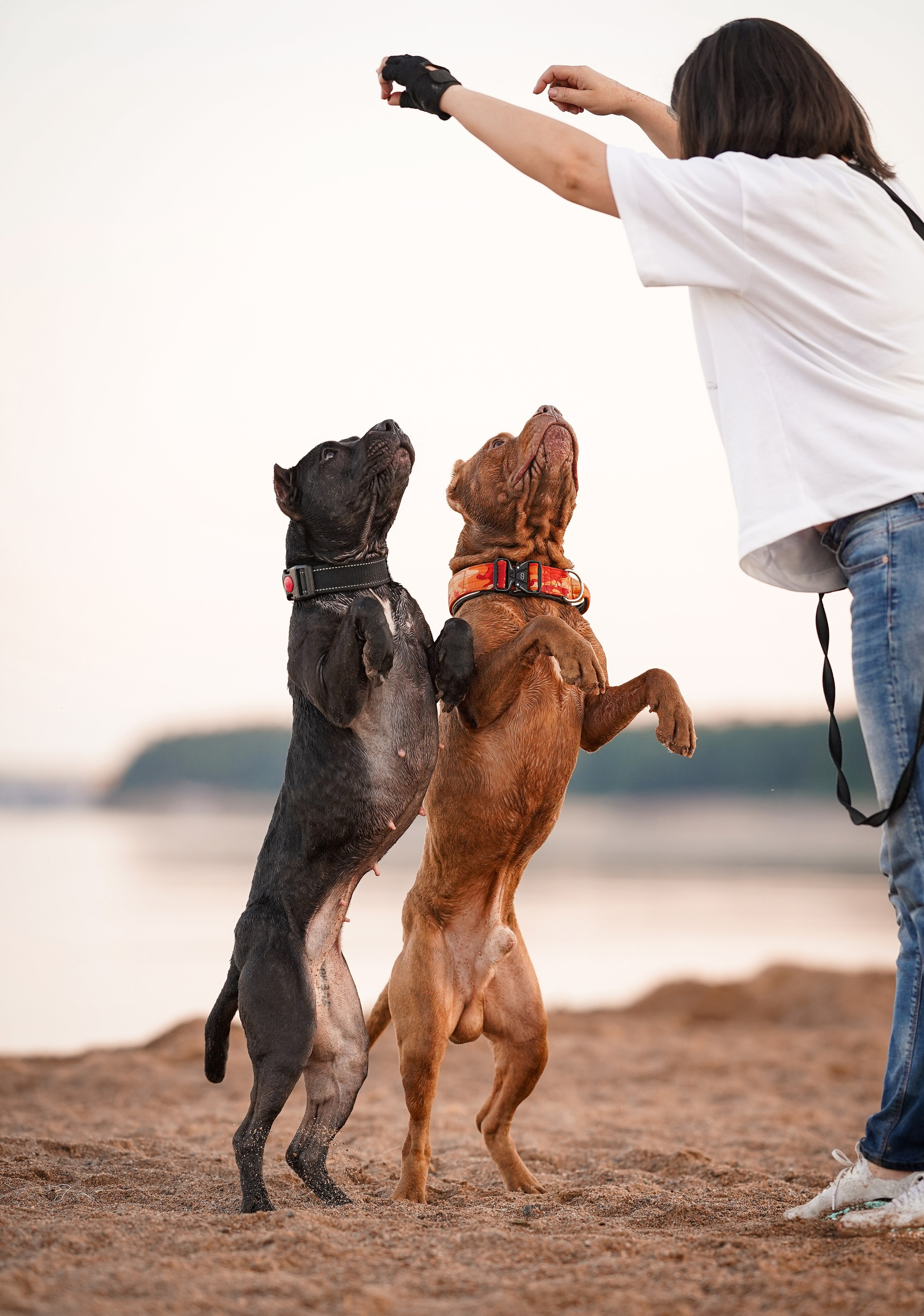 Татьяна Изи и Джем. Фотограф-анималист в Санкт-Петербурге Яна Мартынова