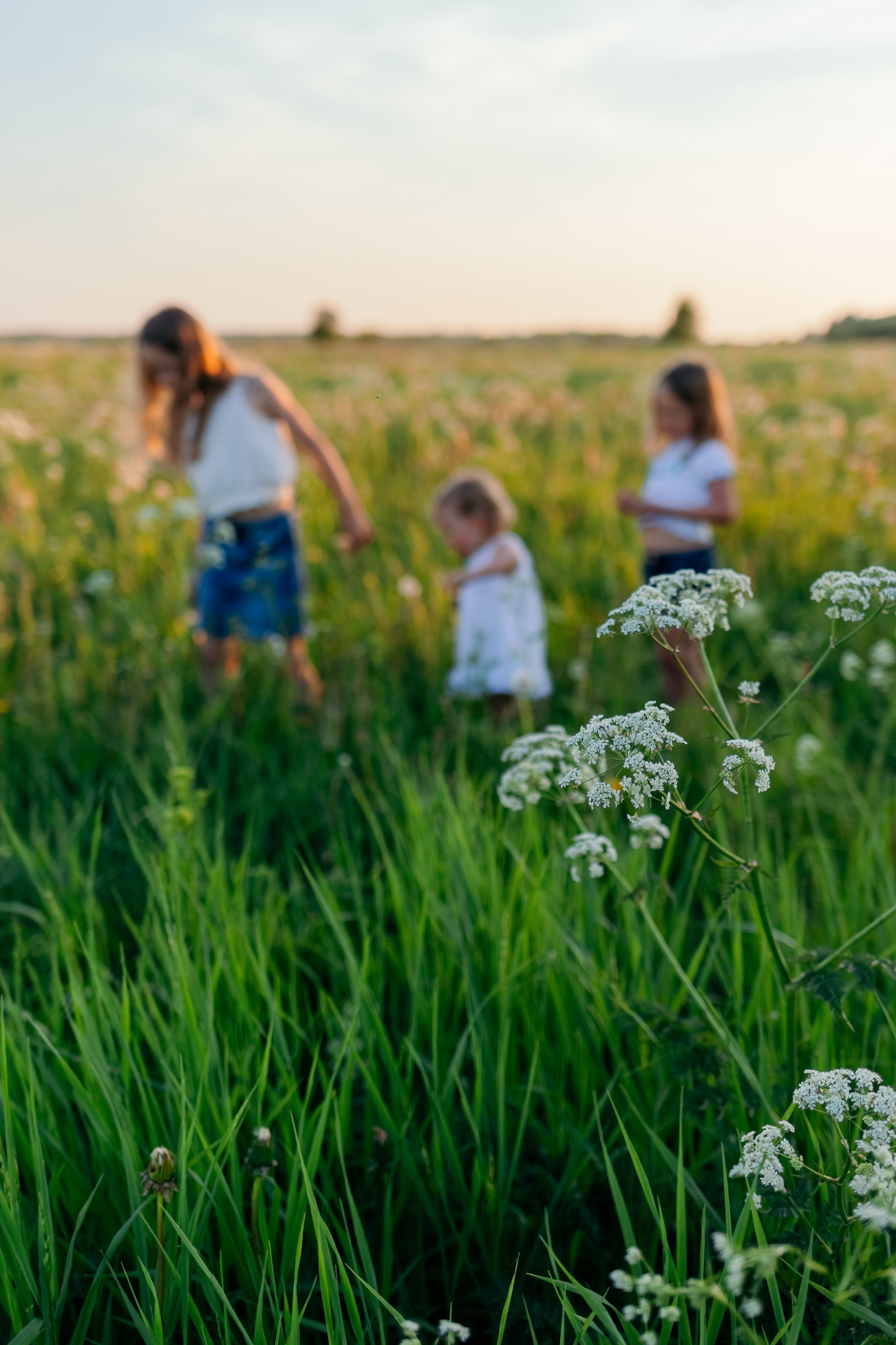 В ПОЛЕ. Семейный Фотограф в Санкт-Петербурге Пушкин Анастасия Дьяконенкова
