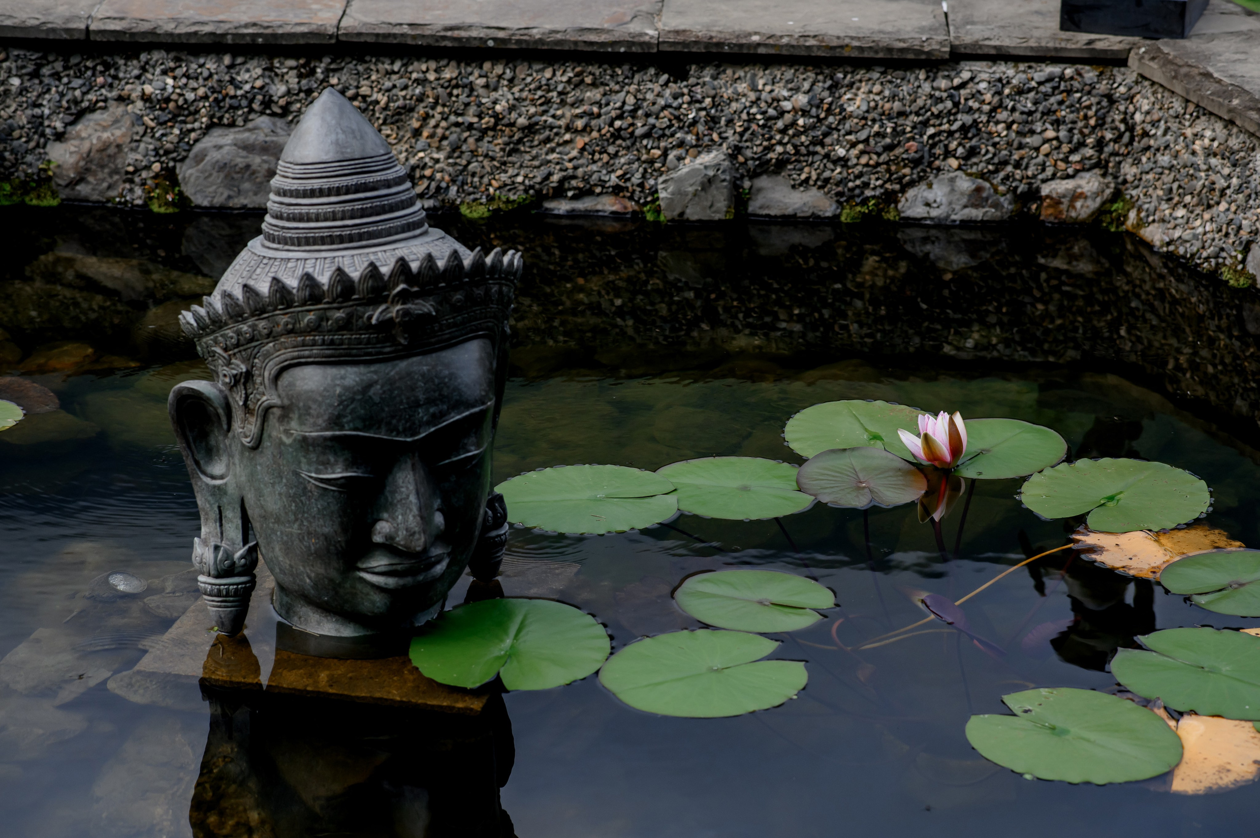 Свадебный фотограф. Свадебный и репортажный фотограф в Сочи и Краснодаре Сергей Грин