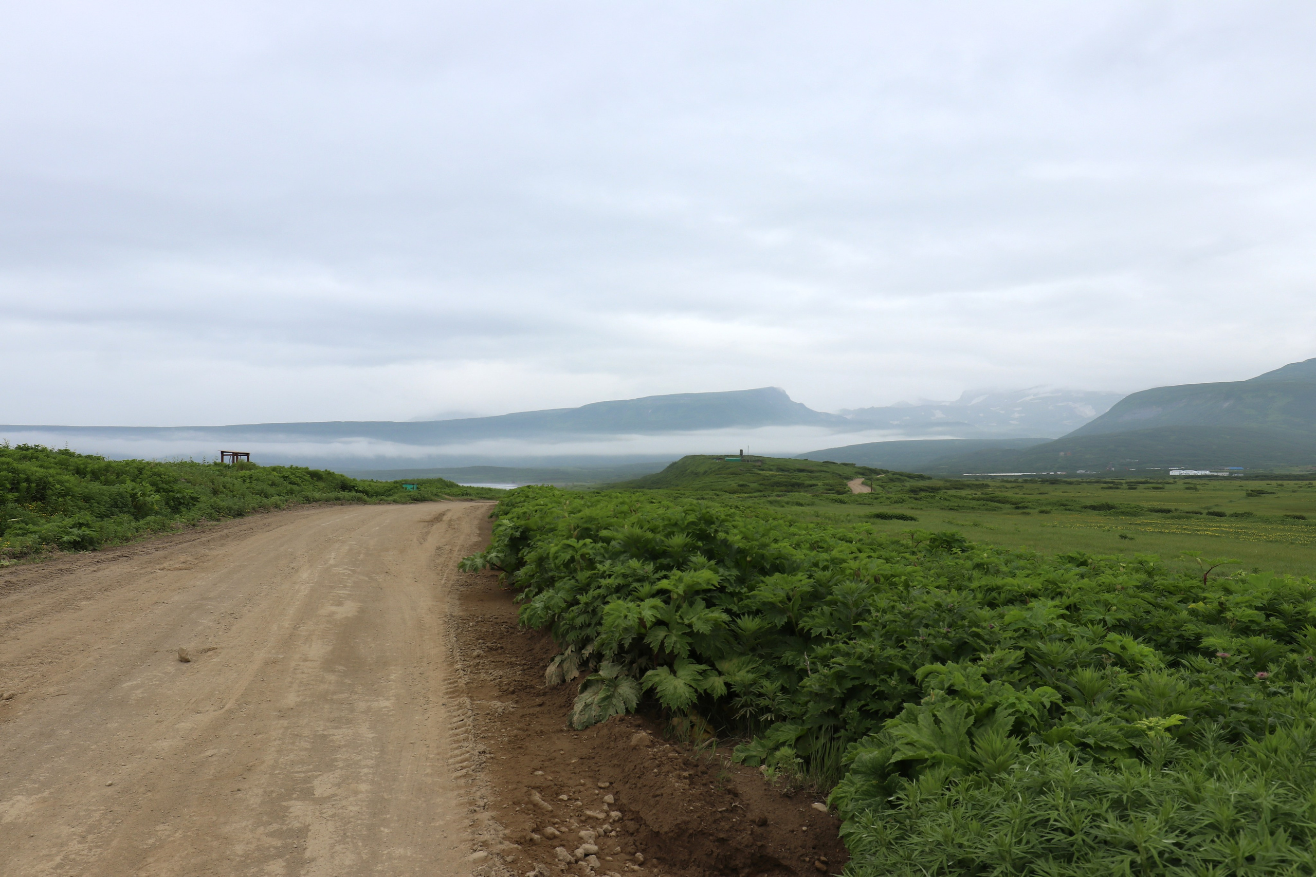 Камчатка и о. Парамушир. Июль 2024. Путешественник-фотограф из Санкт-Петербурга Татьяна Свистулина